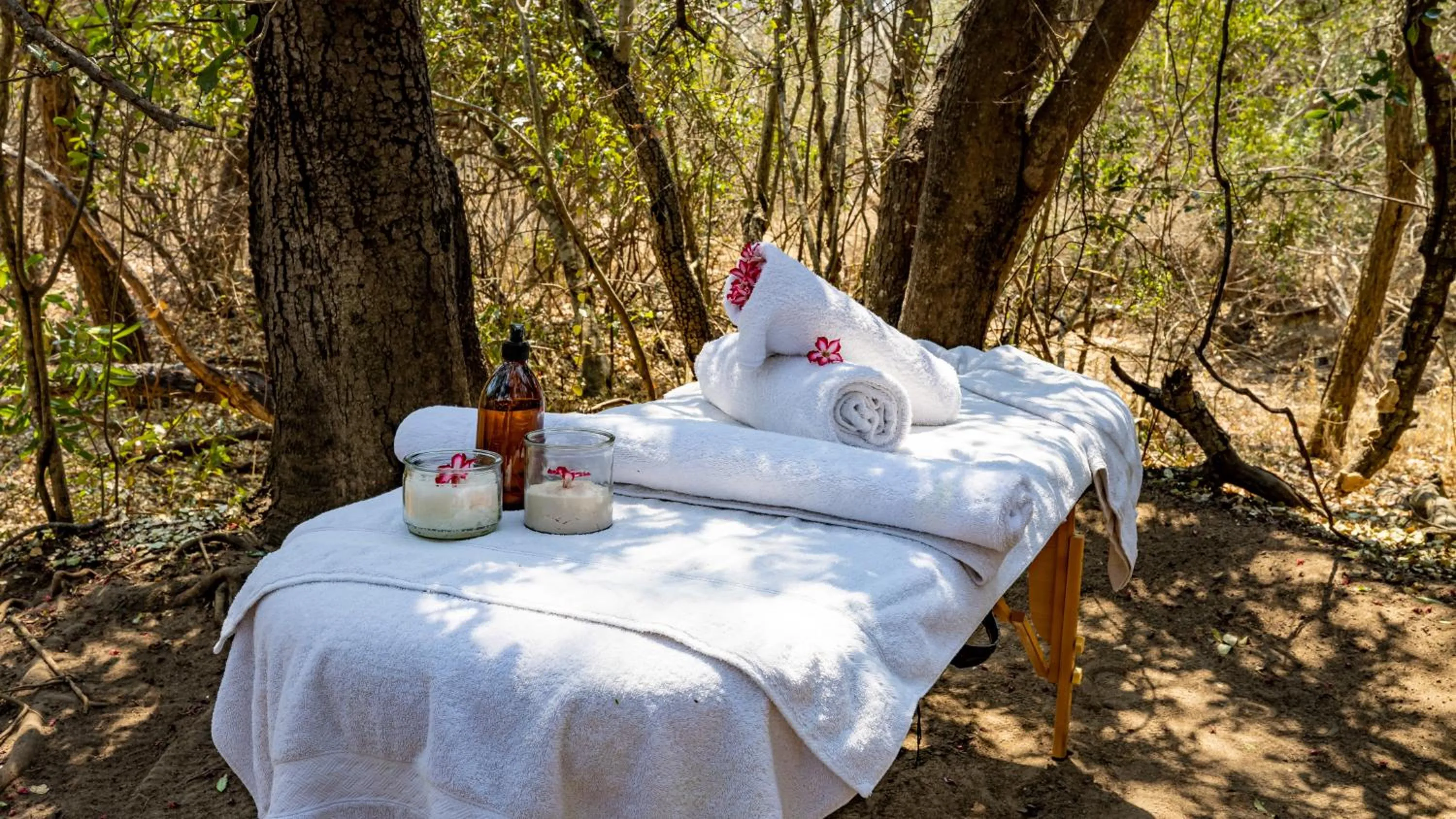 Spa and wellness centre/facilities in Kusudalweni Safari Lodge and Spa