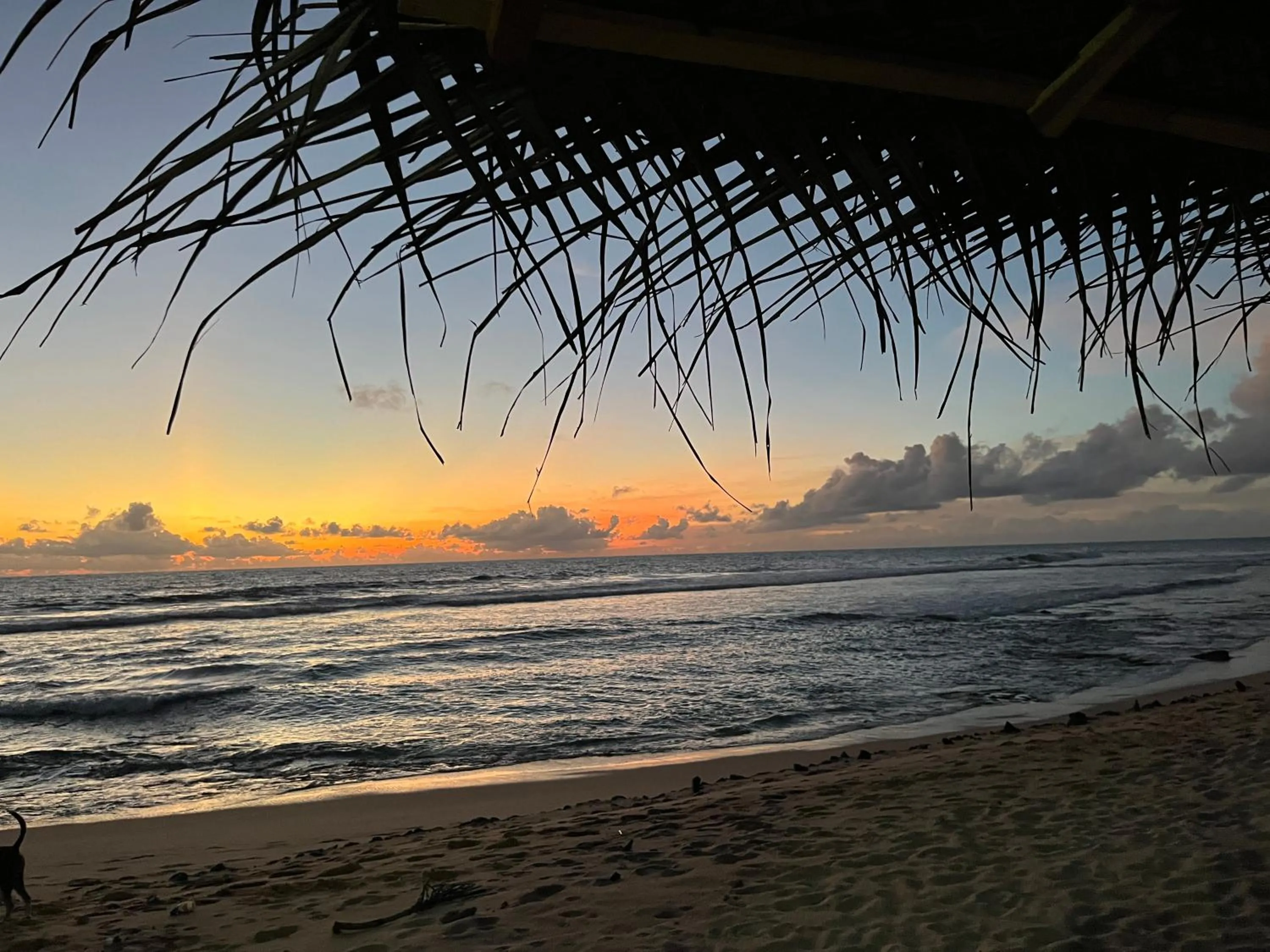 Ocean Reef Hotel