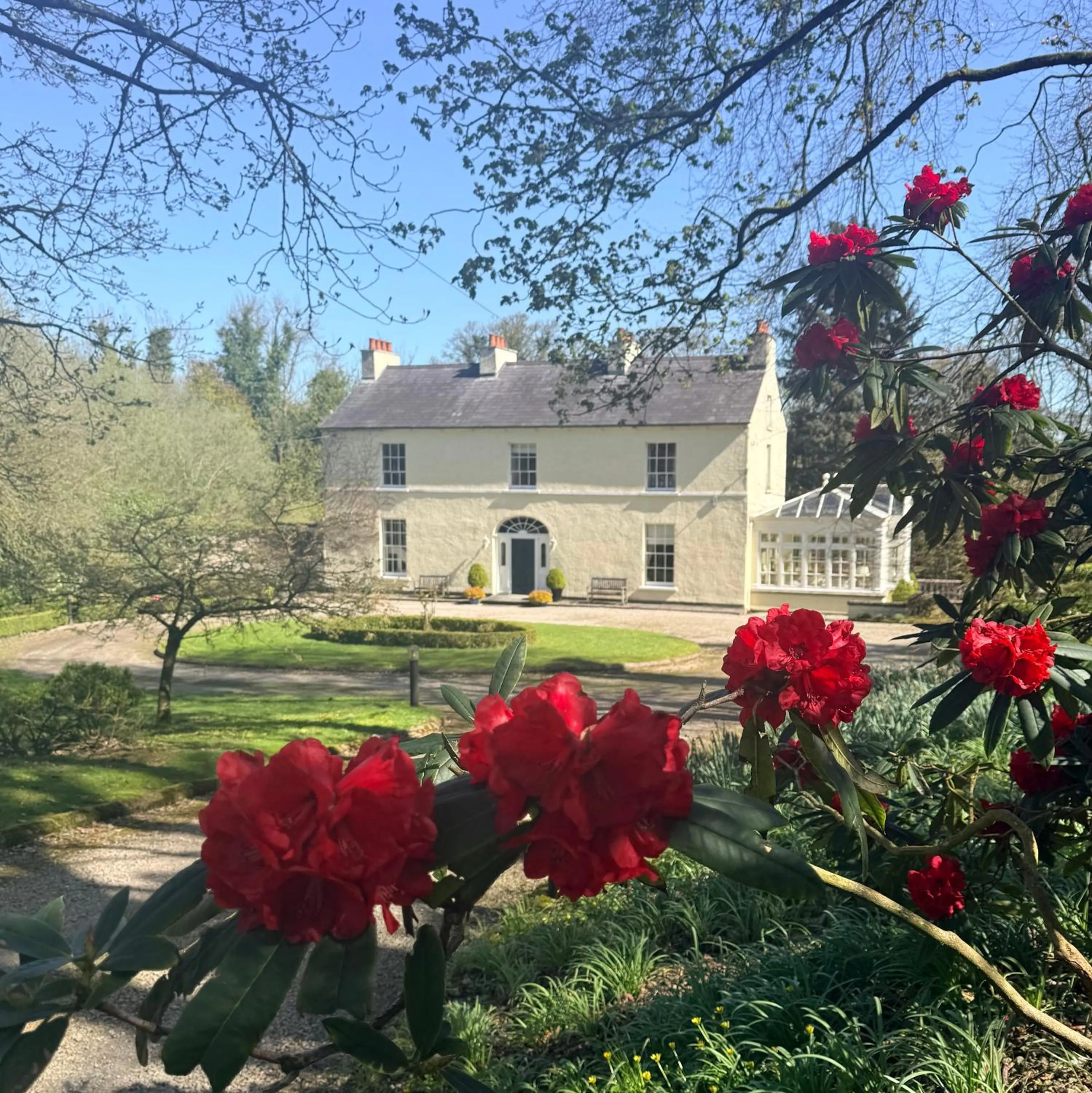 Larchmount House B&B