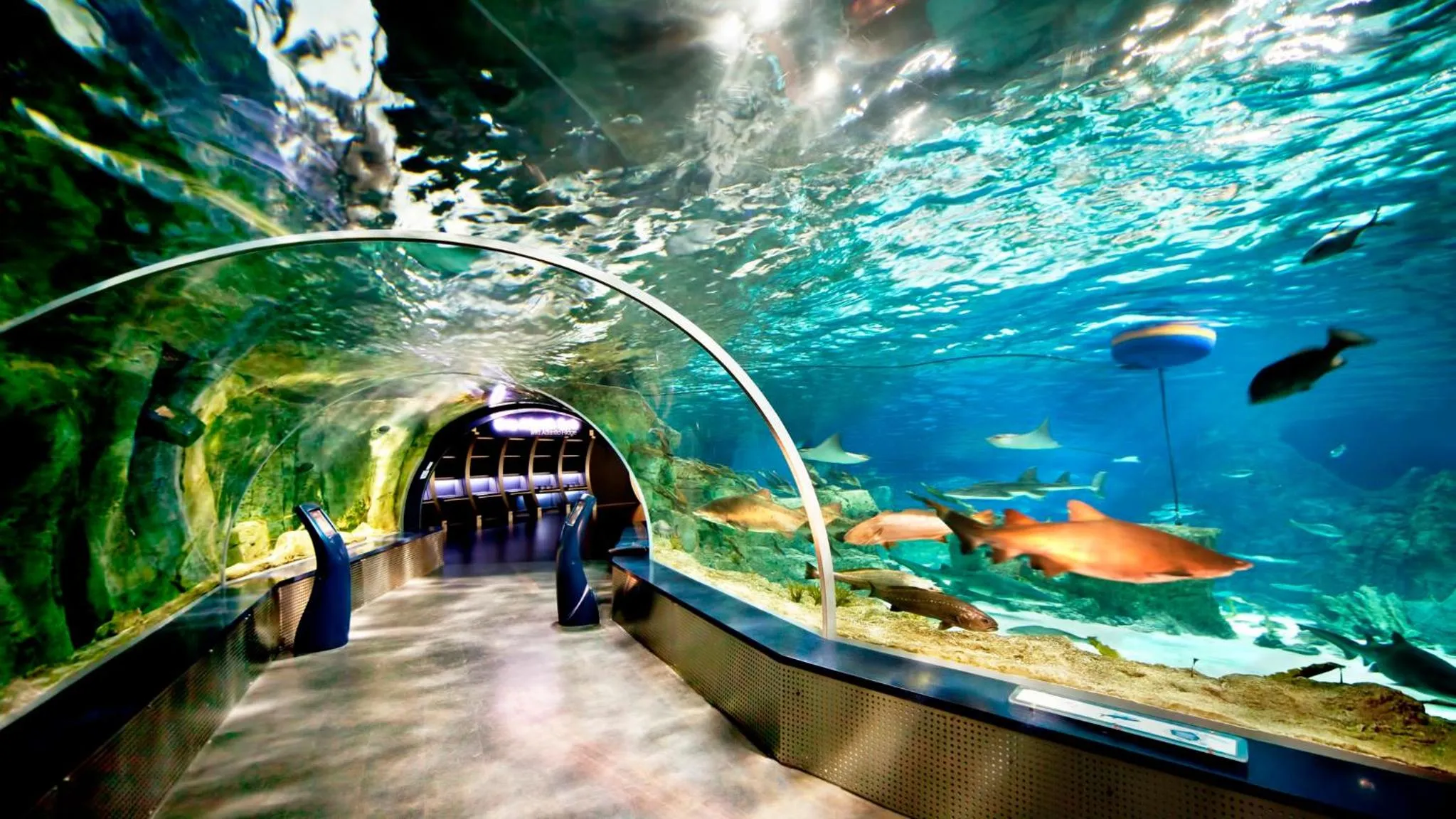 Nearby landmark in Crowne Plaza Florya Istanbul by IHG