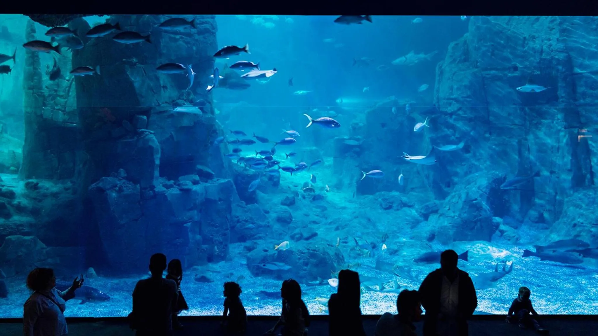 Nearby landmark in Crowne Plaza Florya Istanbul by IHG