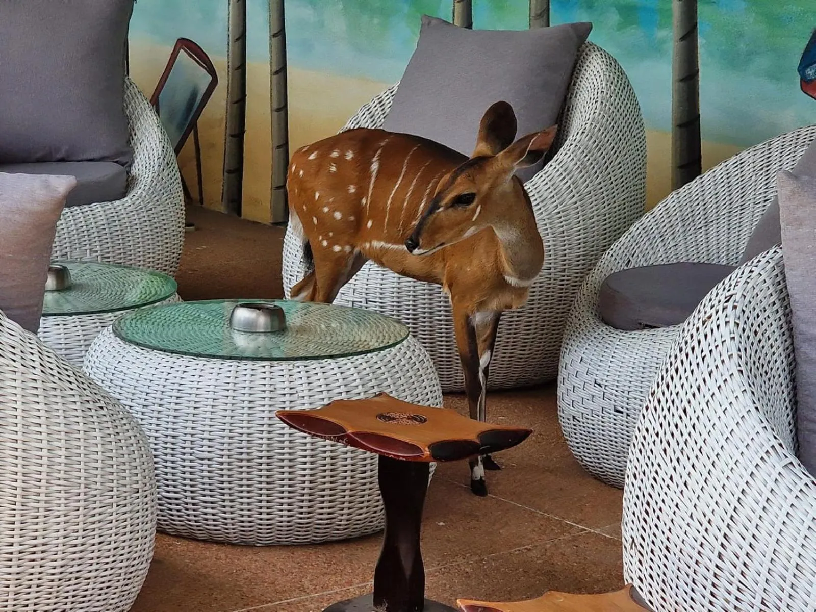 Property building in Residence Helios