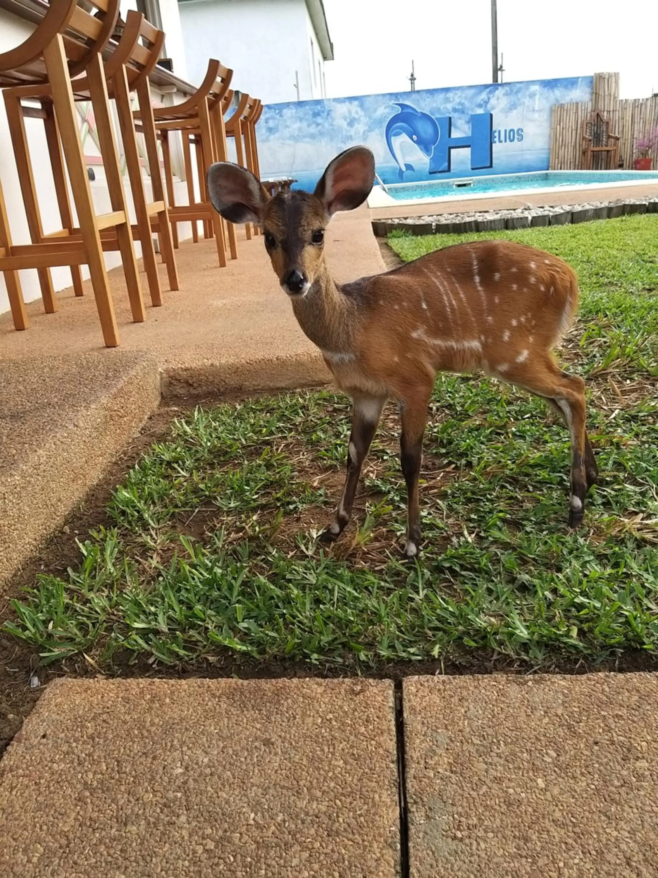 Garden in Residence Helios