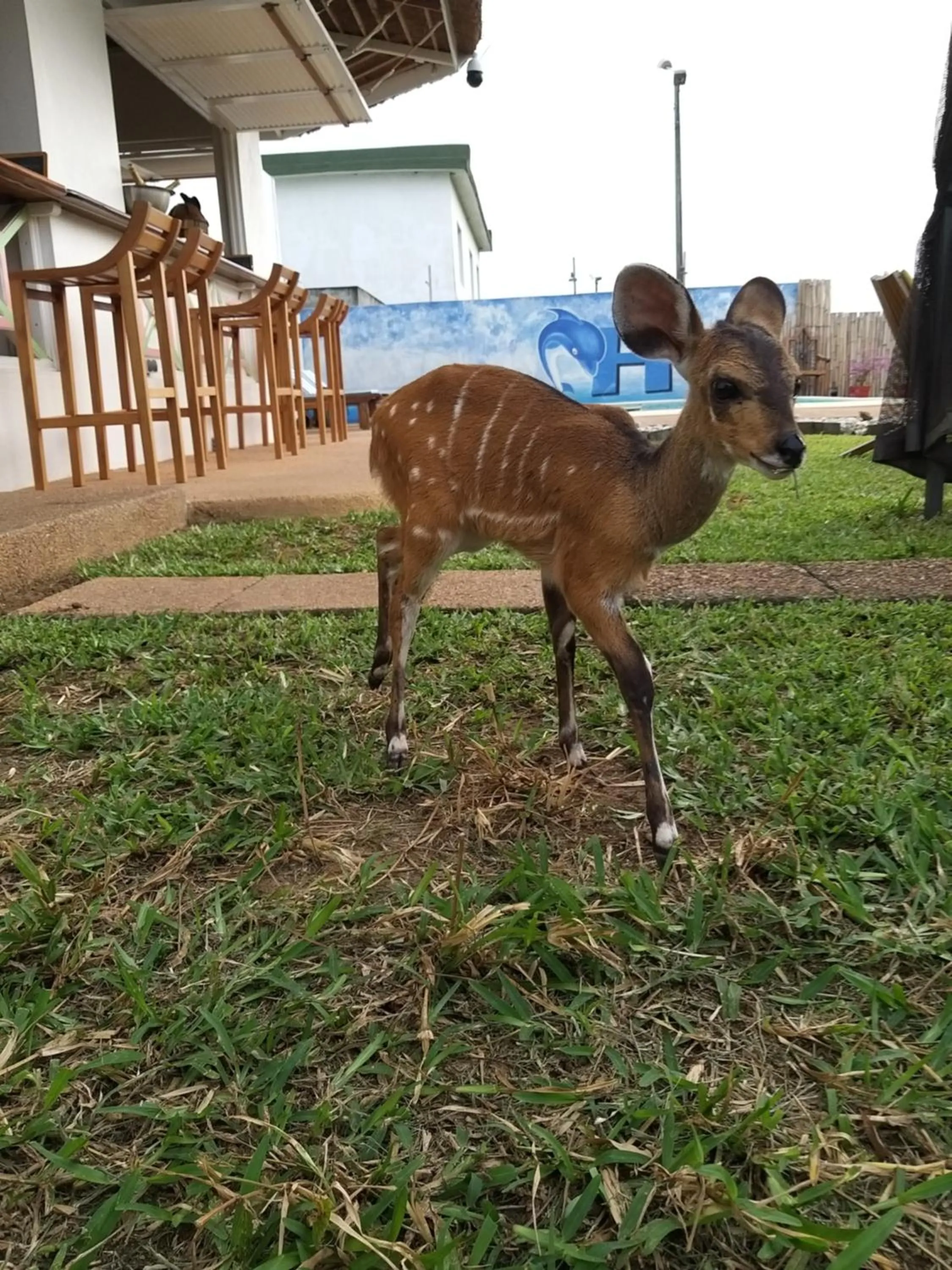 Natural landscape in Residence Helios