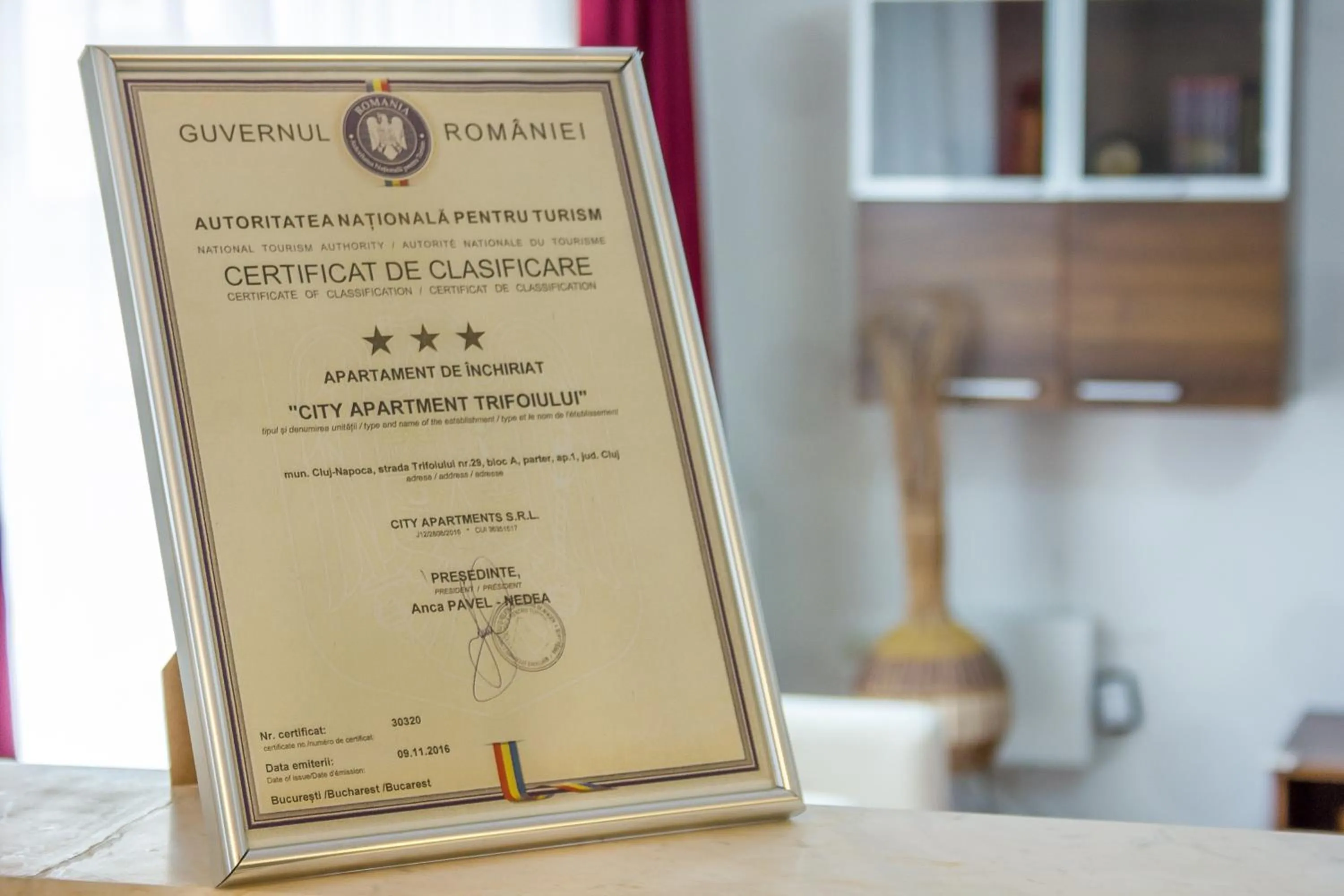 Property logo or sign in City Apartment Trifoiului