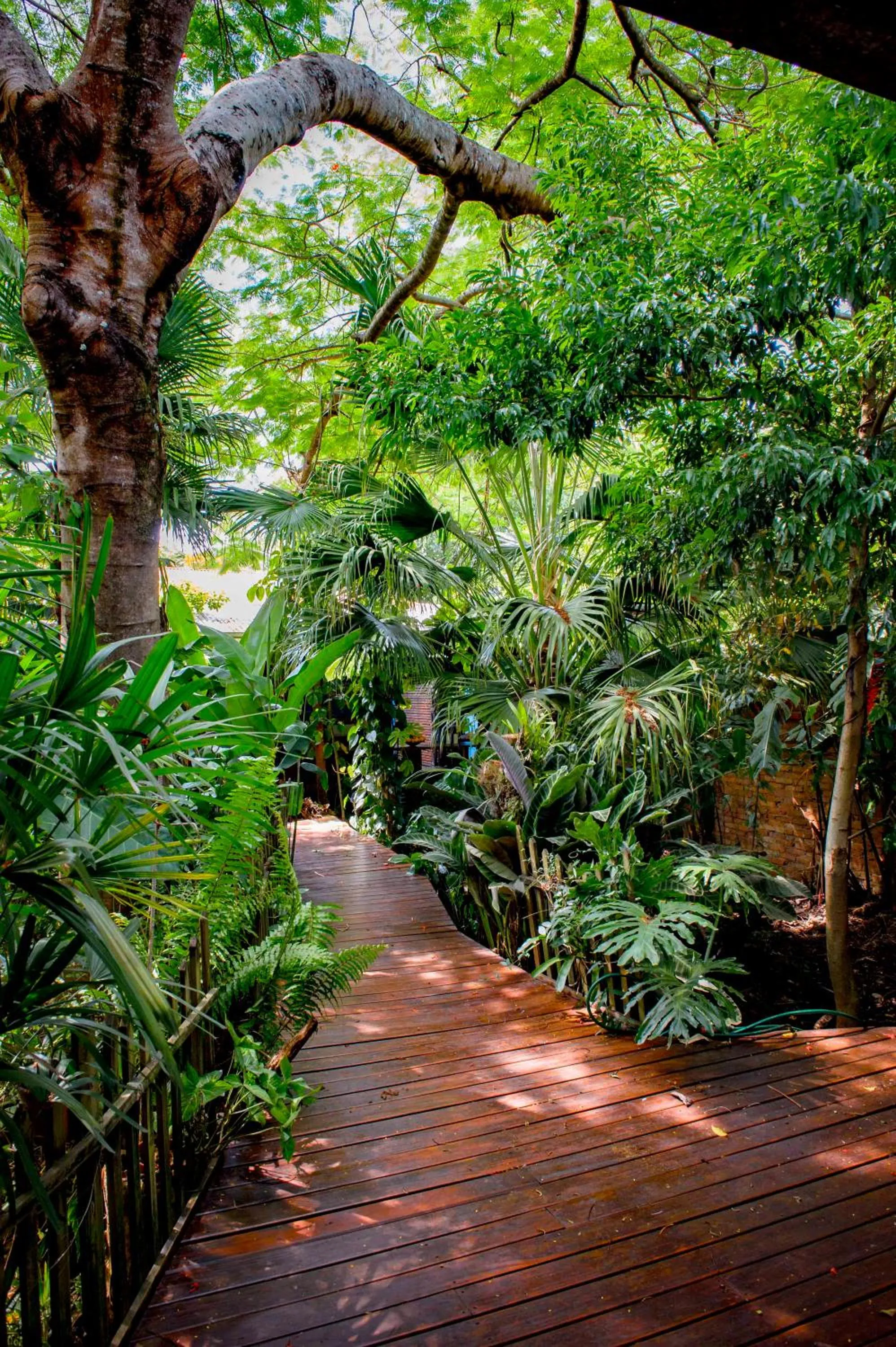 Natural landscape in Secret Garden Iguazu