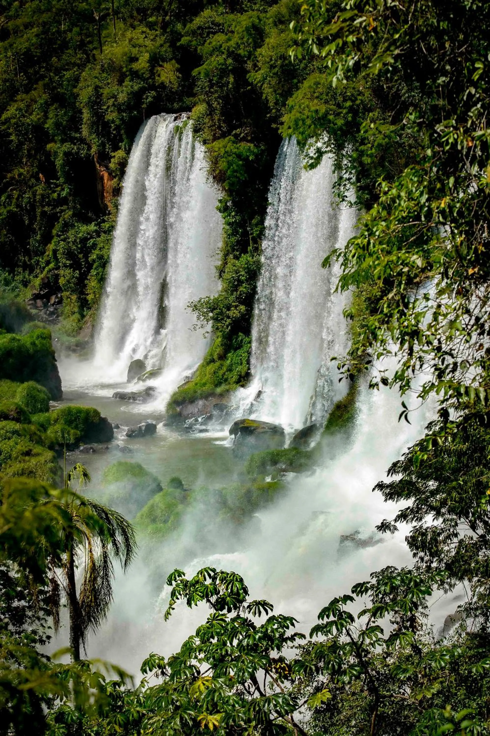 Nearby landmark in Secret Garden Iguazu