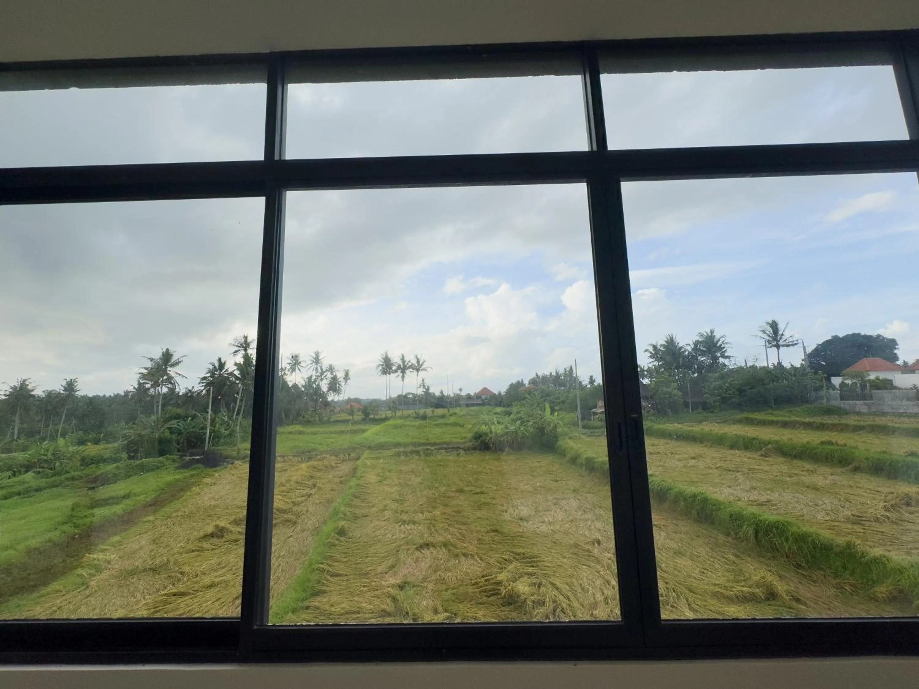 Natural landscape in Koeluma Bali