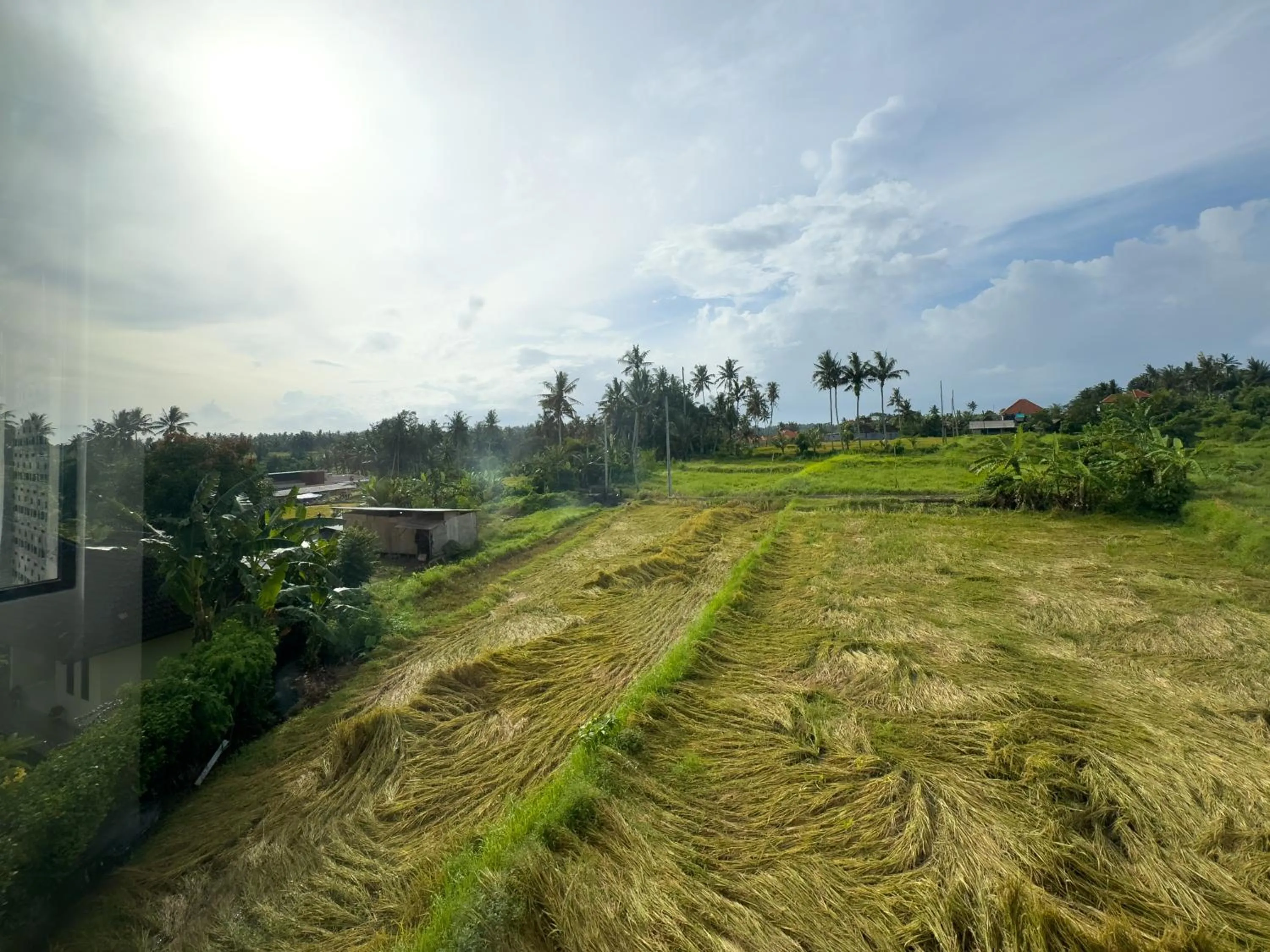 Natural landscape in Koeluma Bali