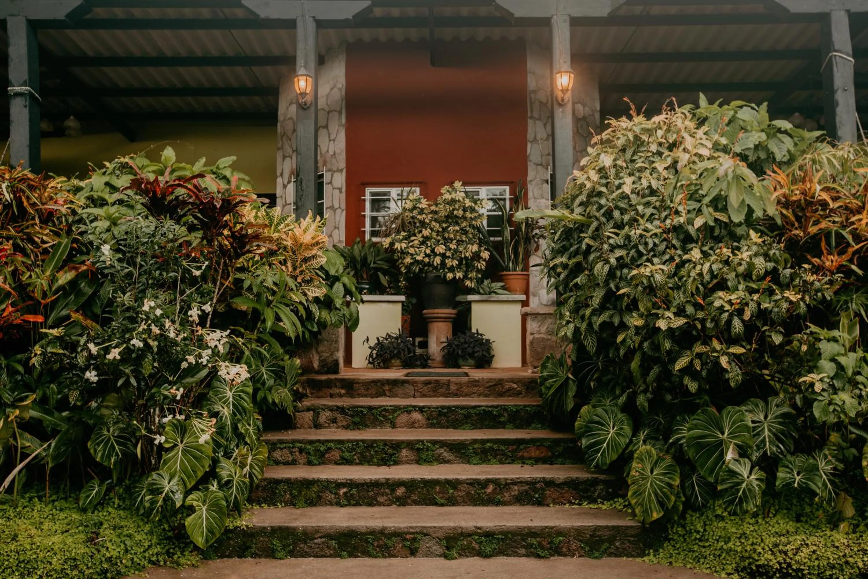 Garden in The Golden Frog Inn