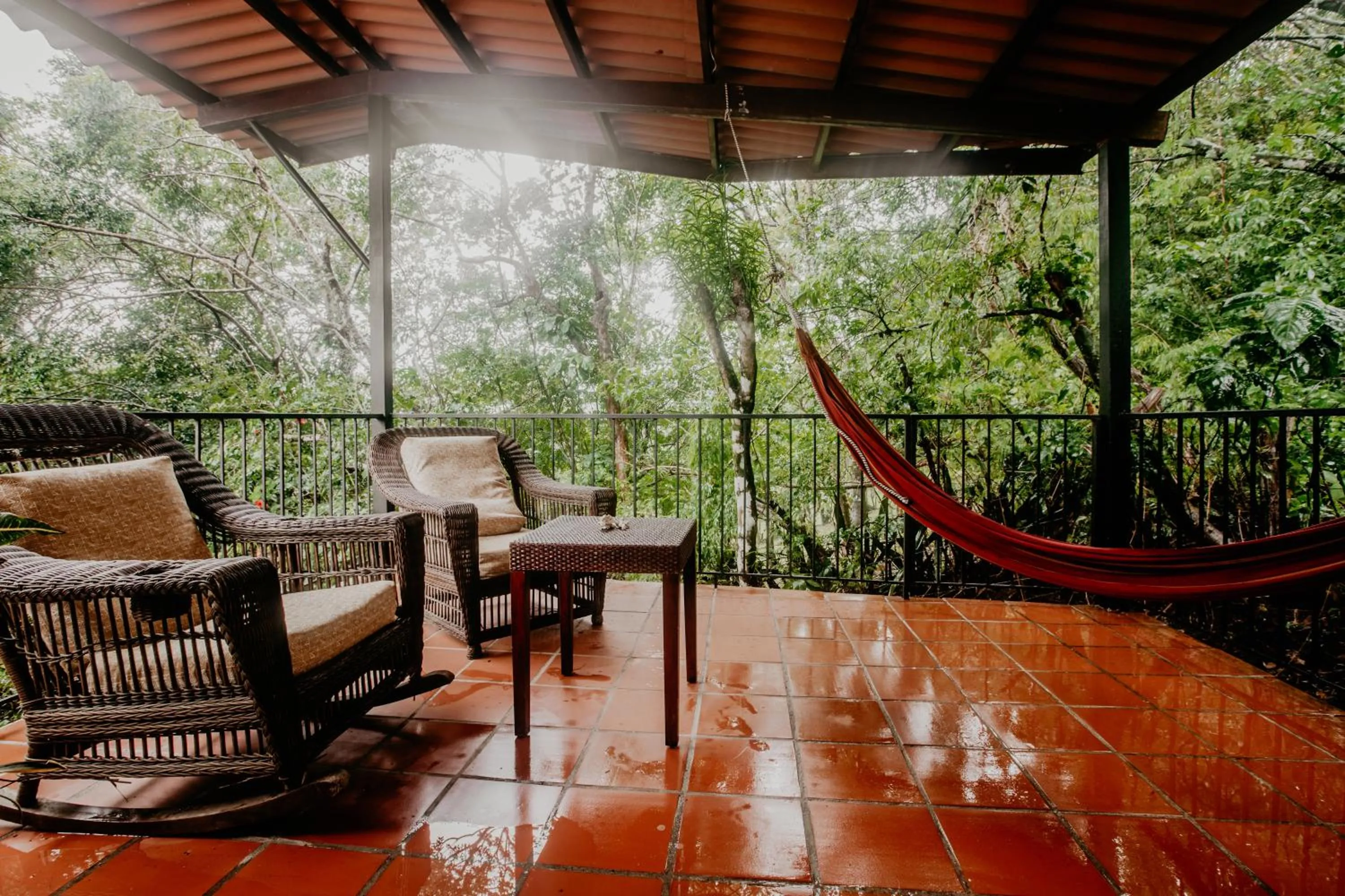 Balcony/Terrace in The Golden Frog Inn