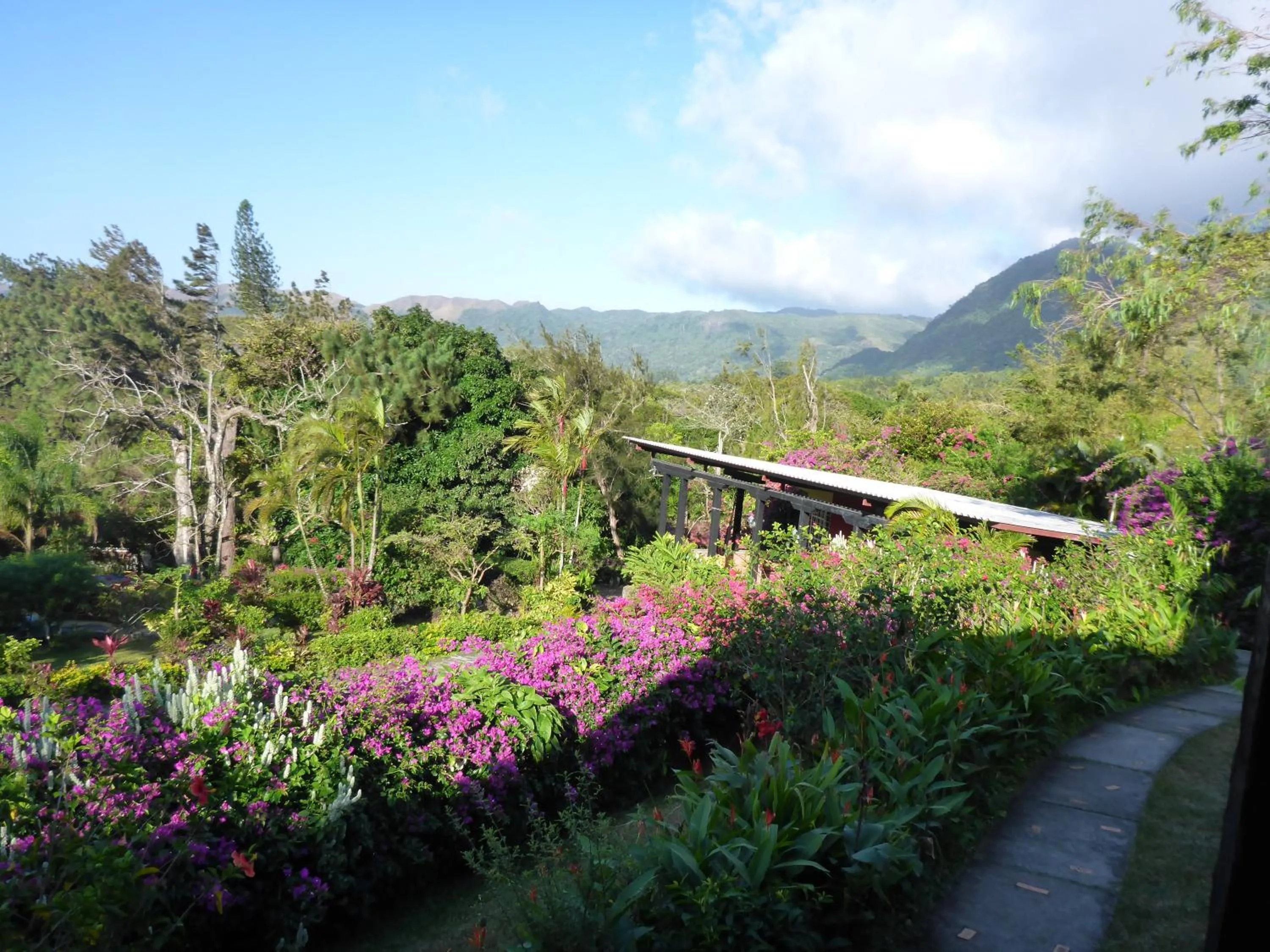 Garden view in The Golden Frog Inn