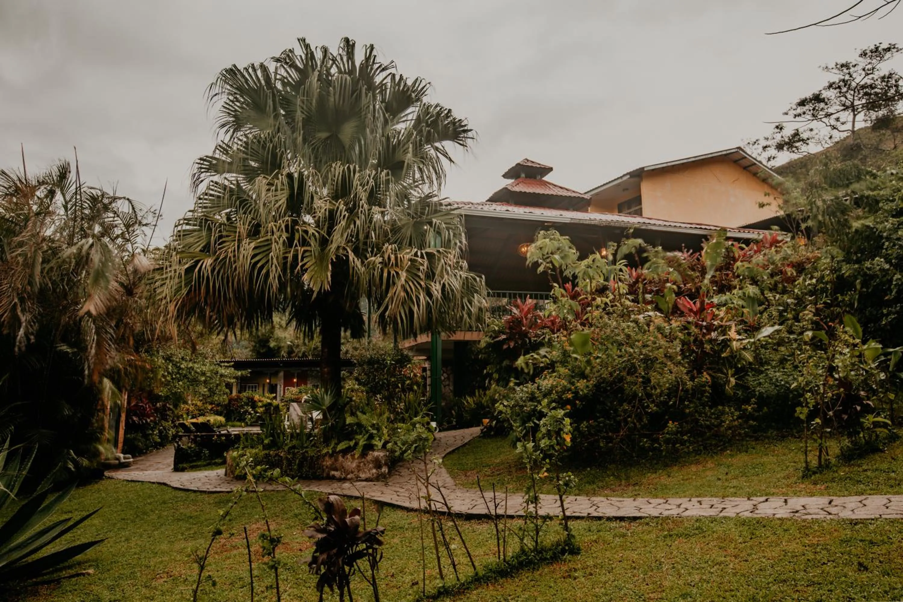 Property building in The Golden Frog Inn