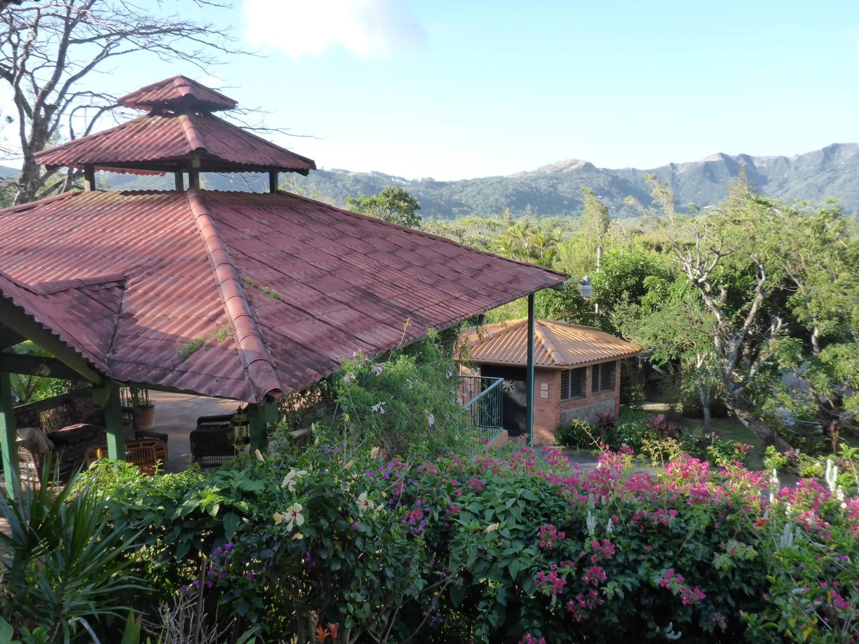 Natural landscape in The Golden Frog Inn