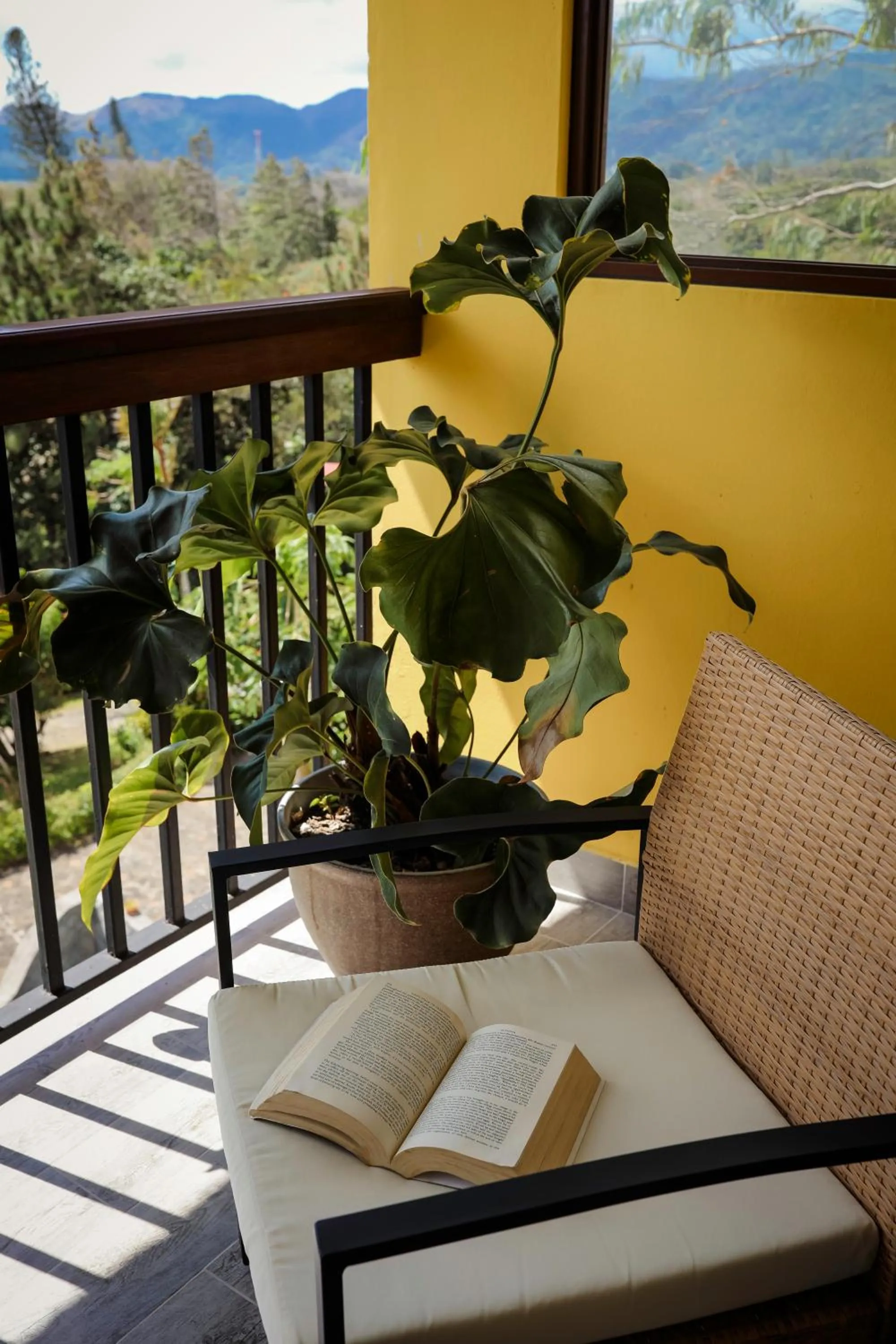 Balcony/Terrace in The Golden Frog Inn