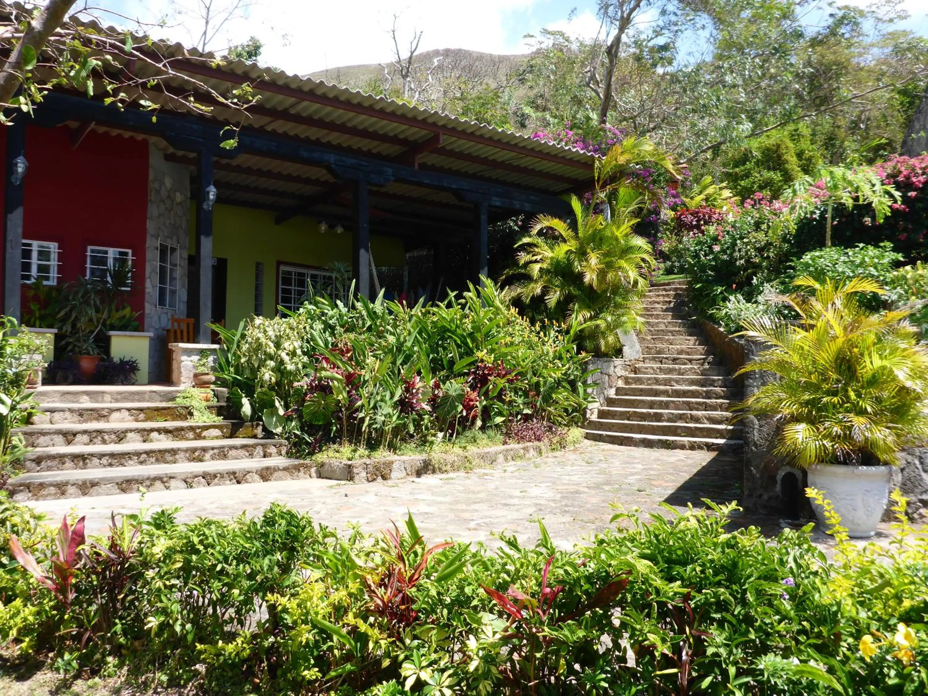 Garden in The Golden Frog Inn
