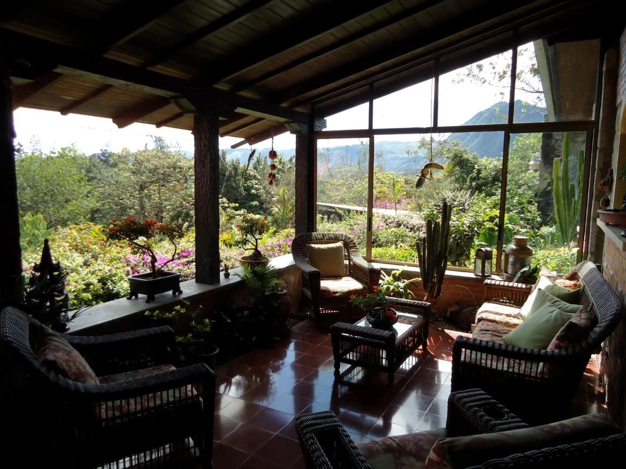 View (from property/room) in The Golden Frog Inn