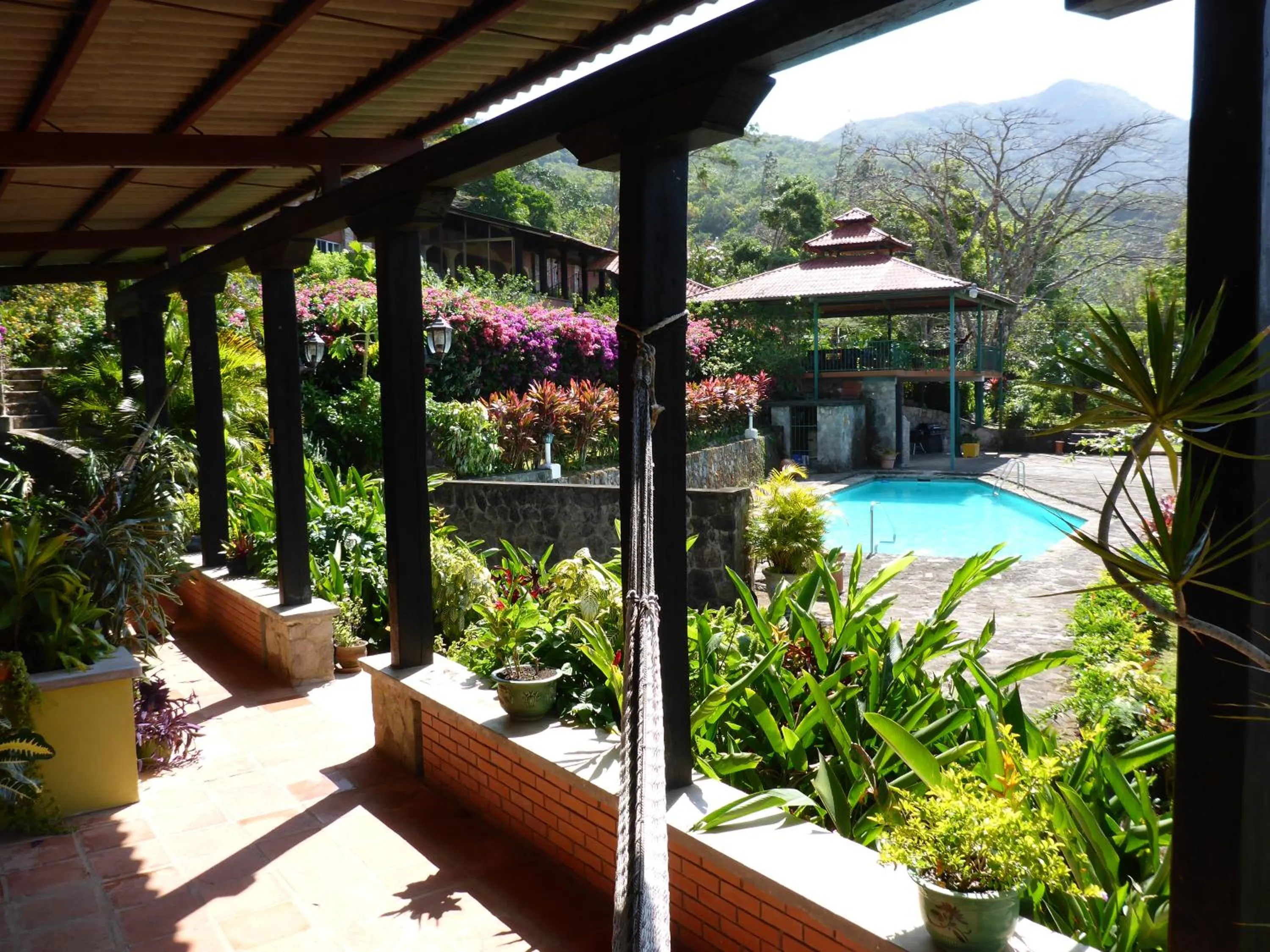 Balcony/Terrace in The Golden Frog Inn