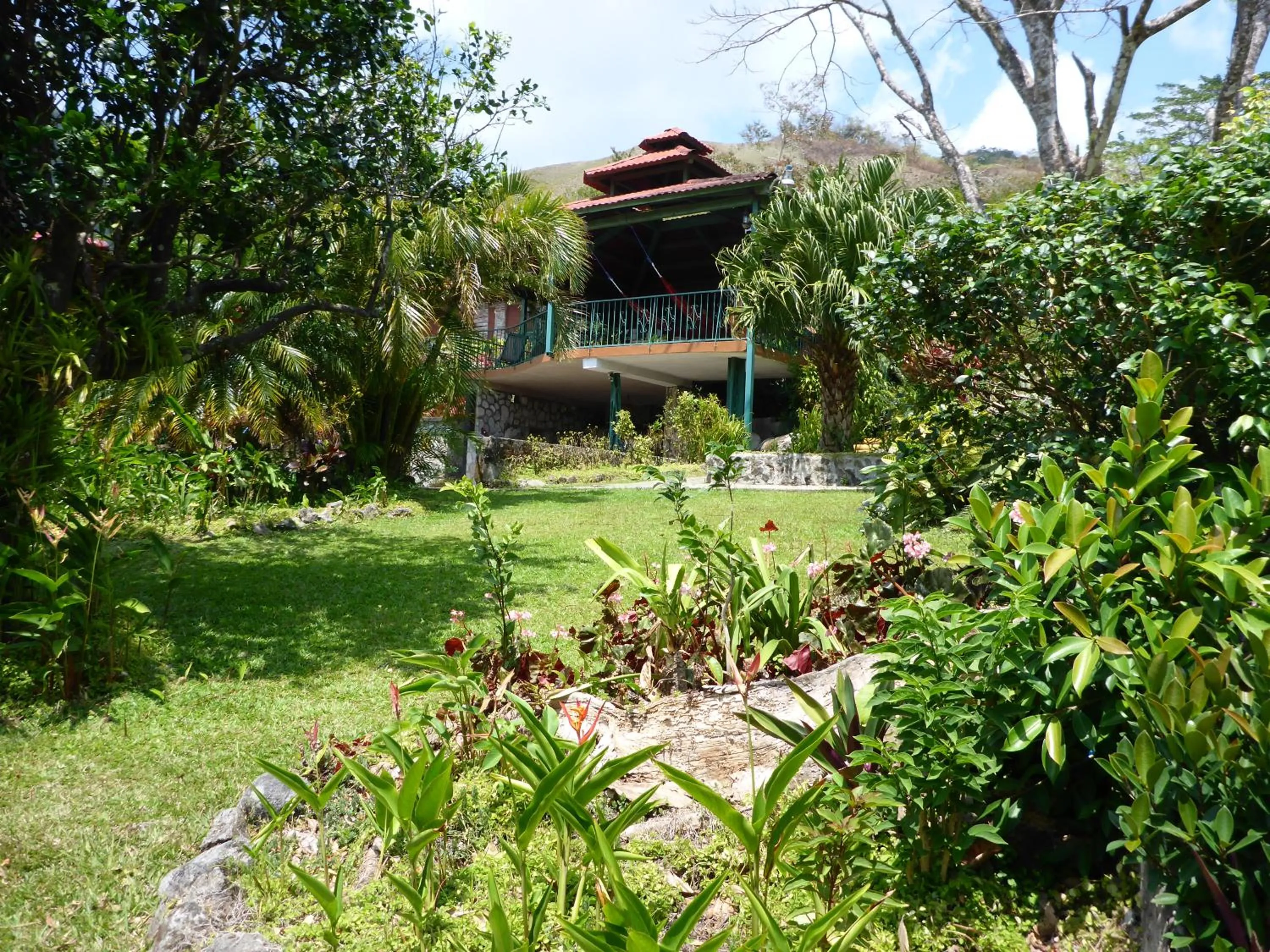 Garden in The Golden Frog Inn