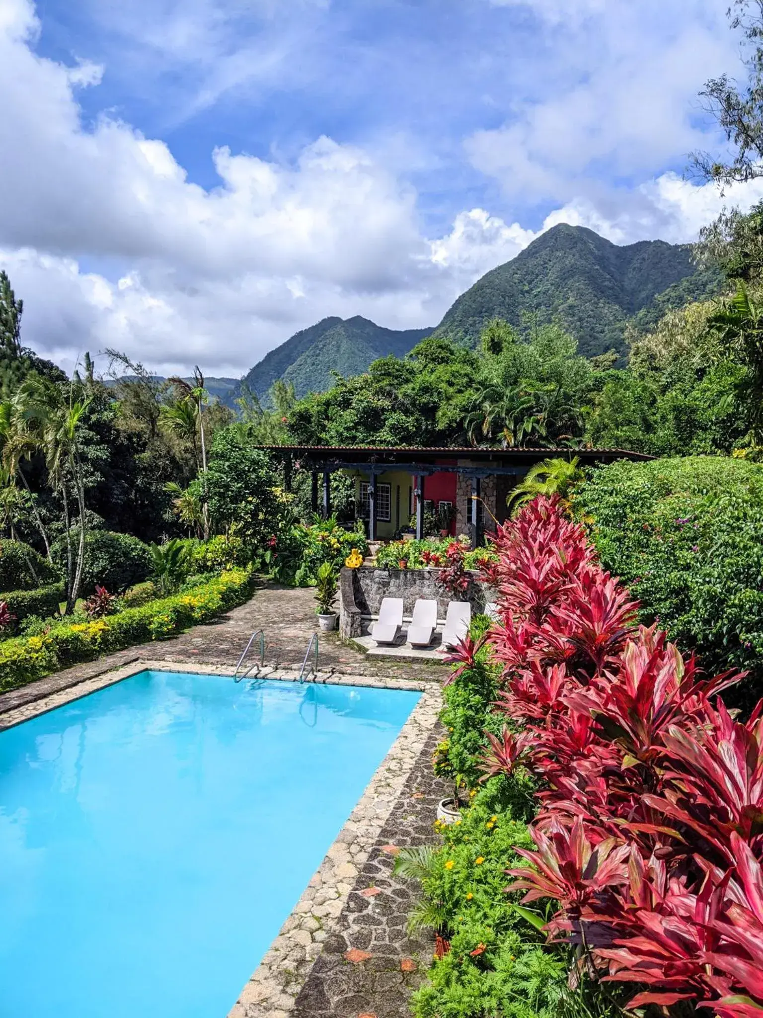 The Golden Frog Inn The Golden Frog Inn