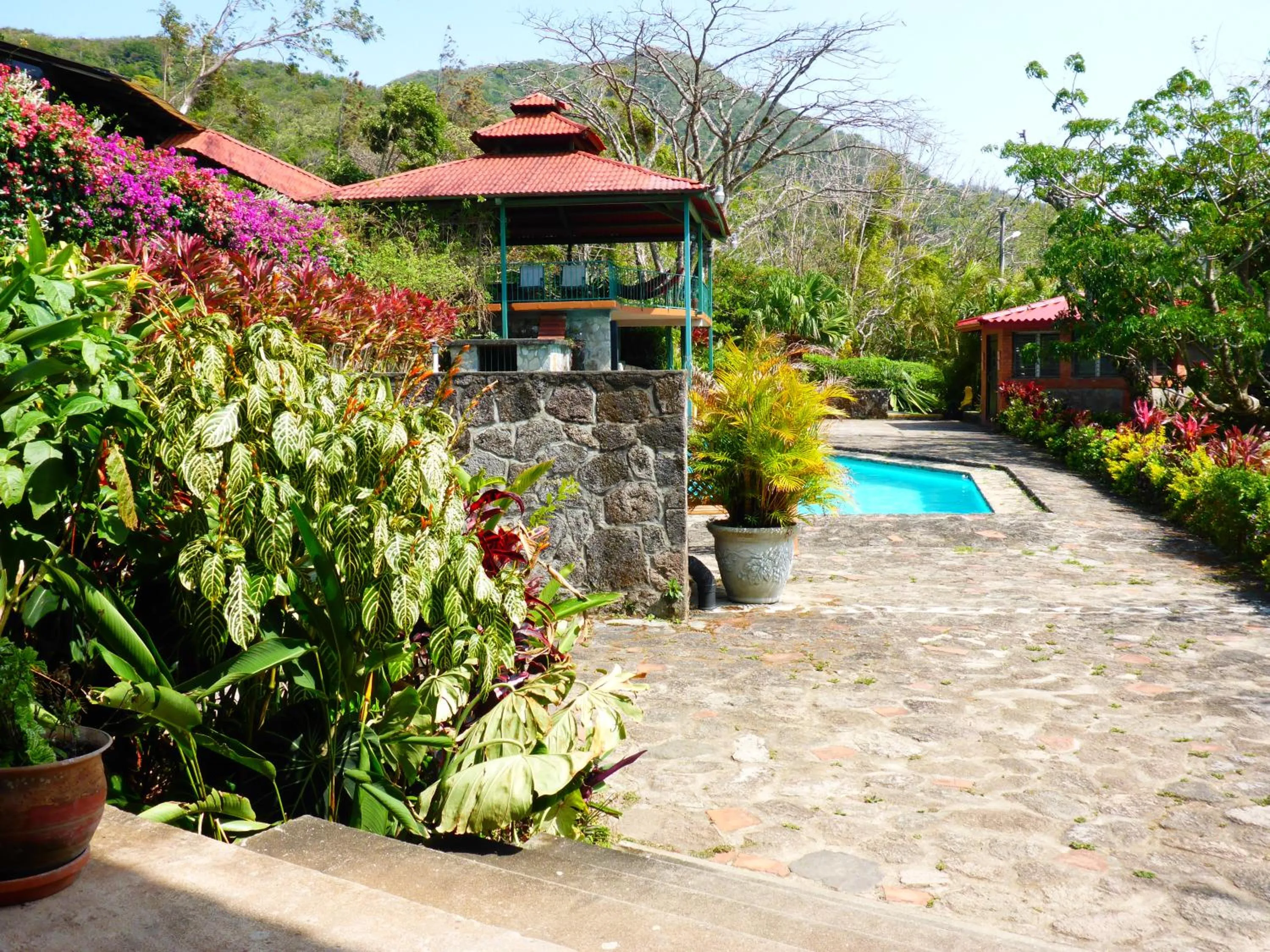 Patio in The Golden Frog Inn