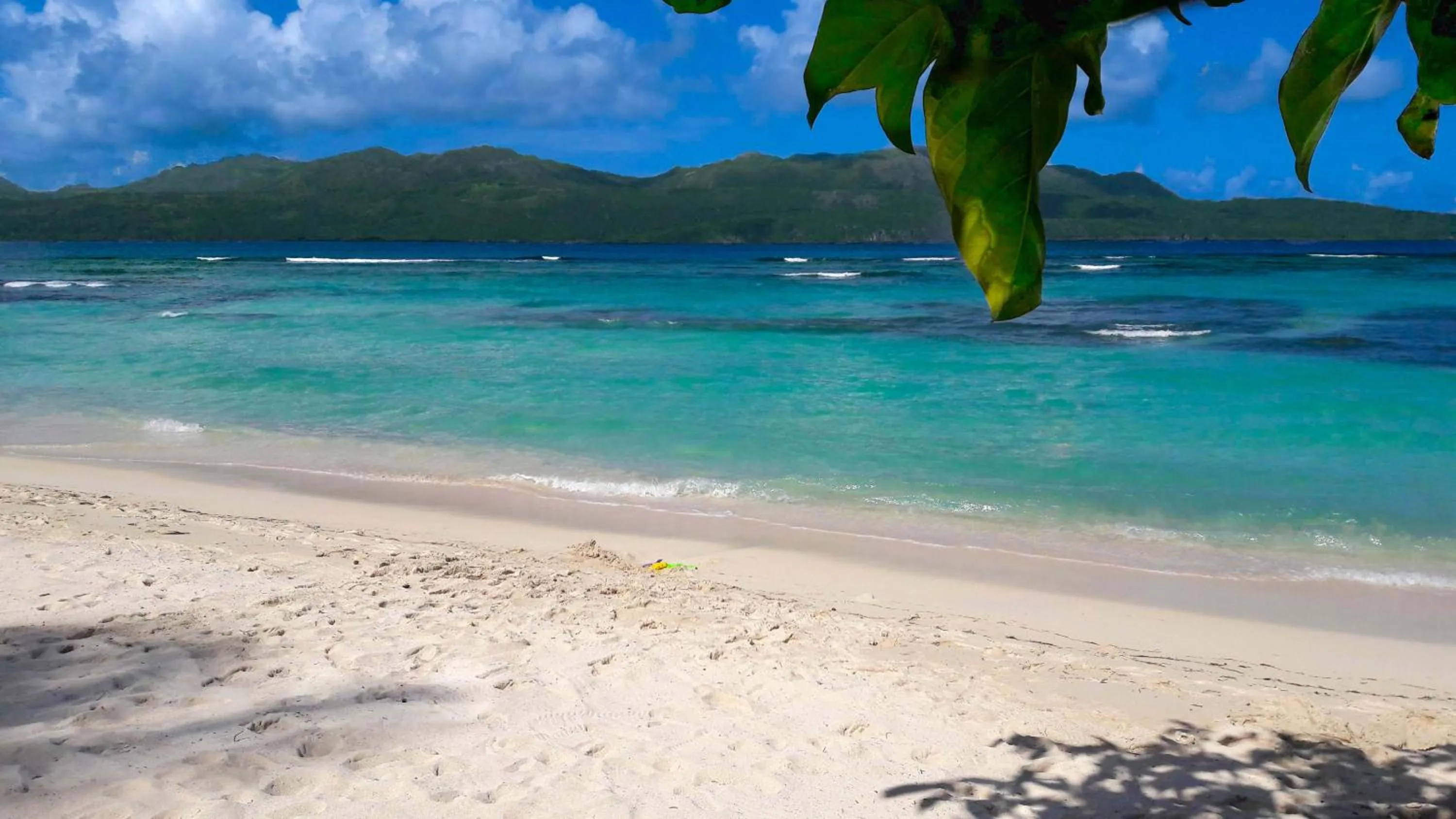 Beach in El Pelicano Apart-Hotel