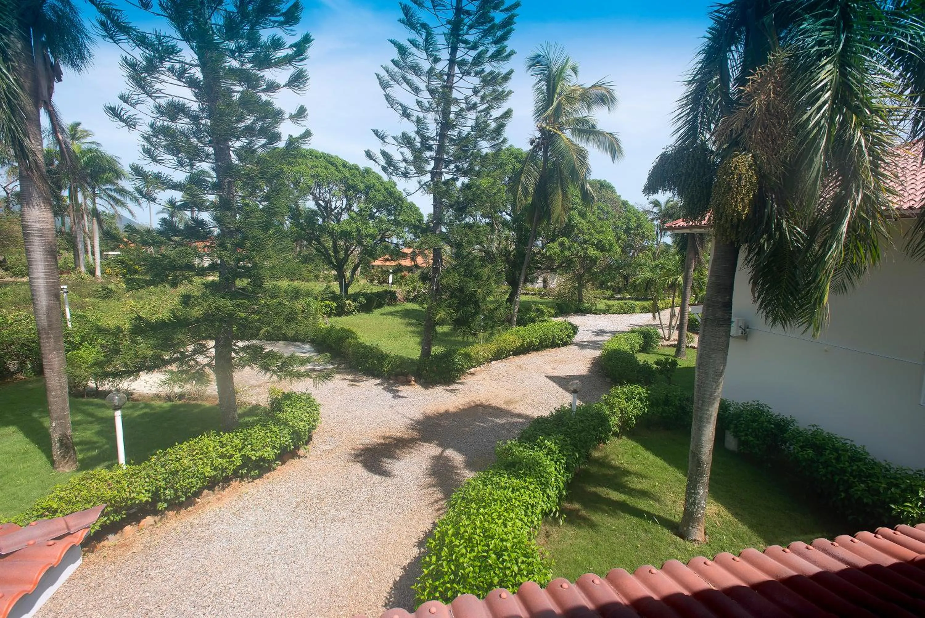 Garden in El Pelicano Apart-Hotel
