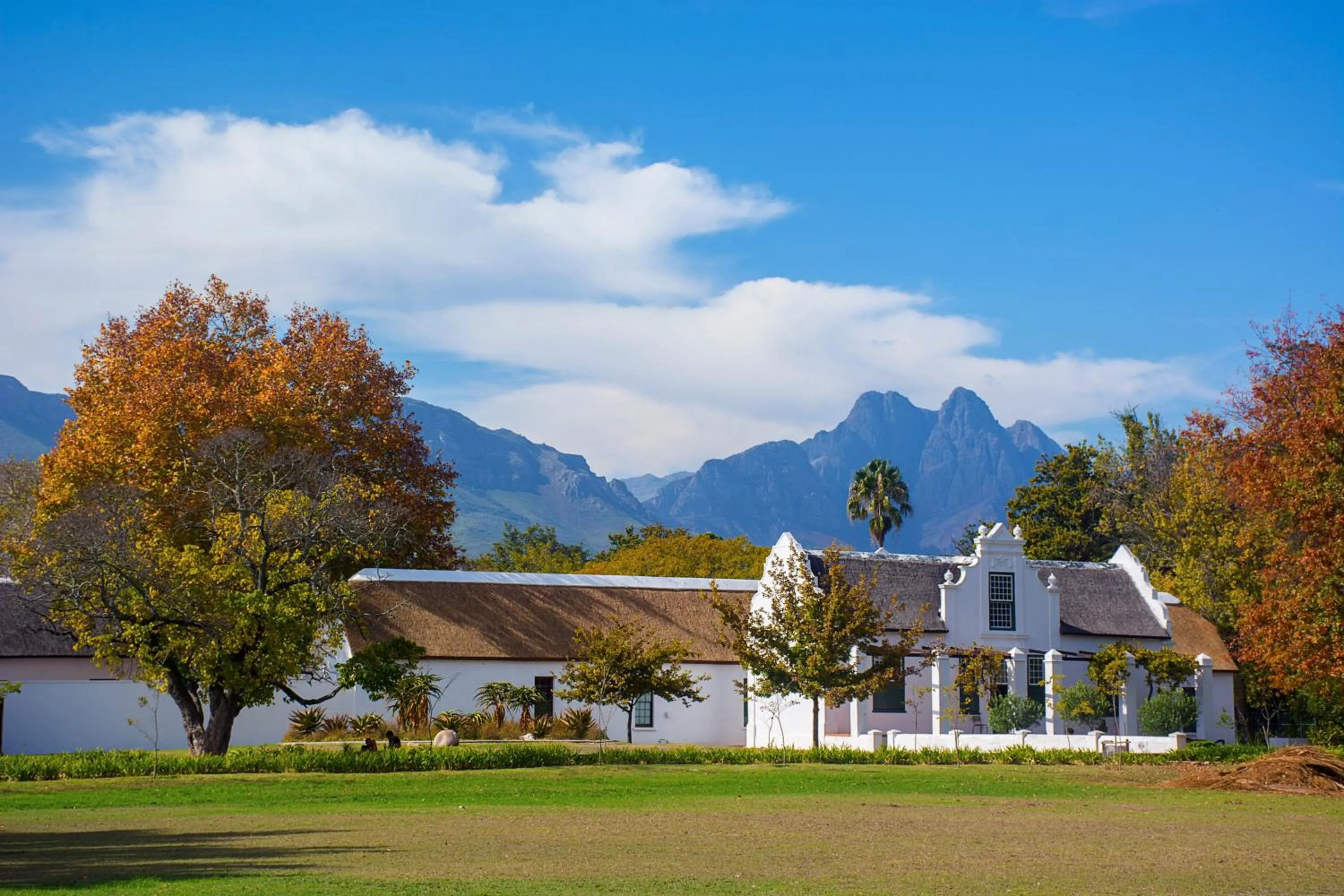 Nearby landmark in Holiday Inn Express Cape Town City Centre by IHG