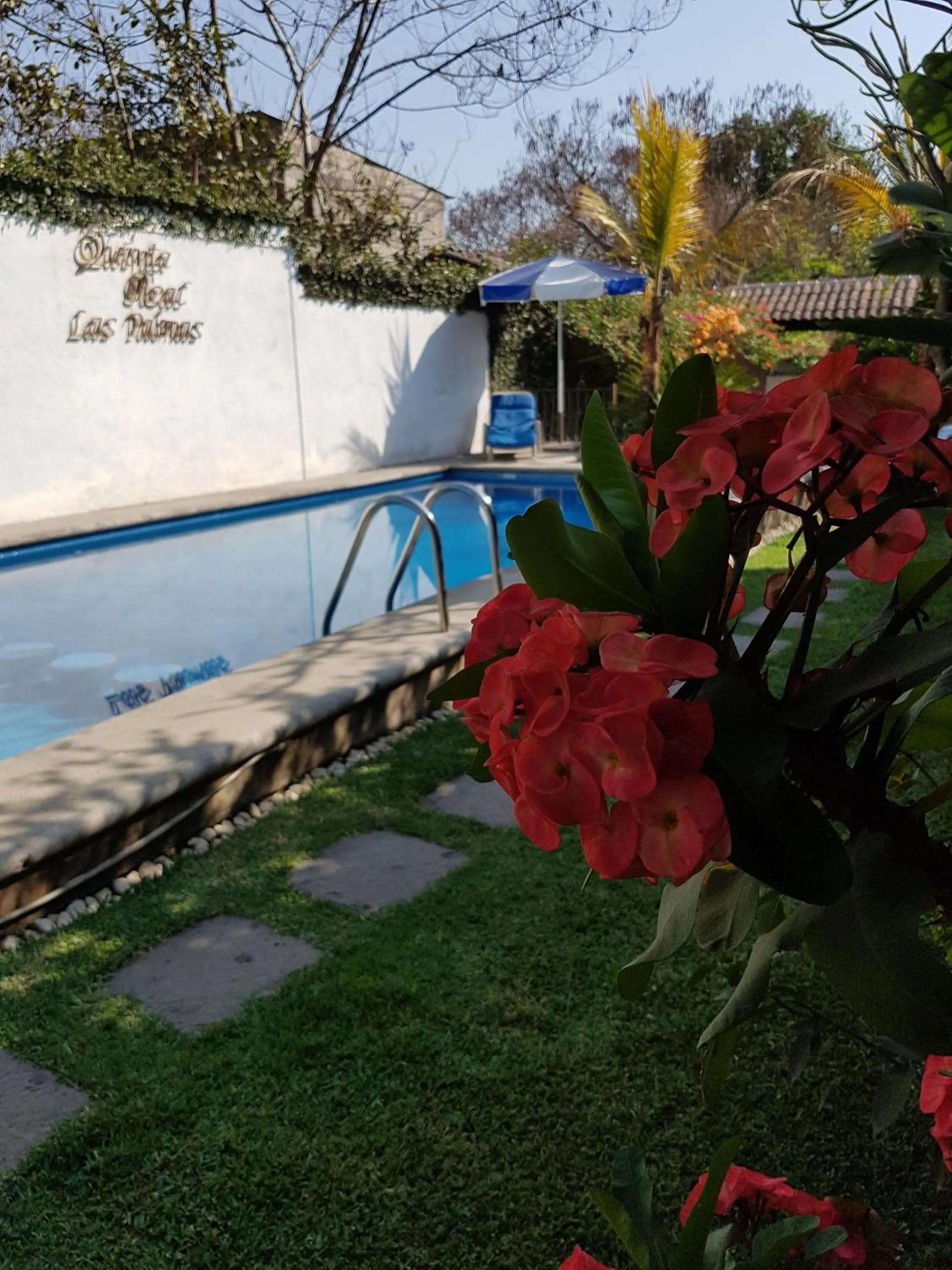 hotel quinta real las palmas malinalco