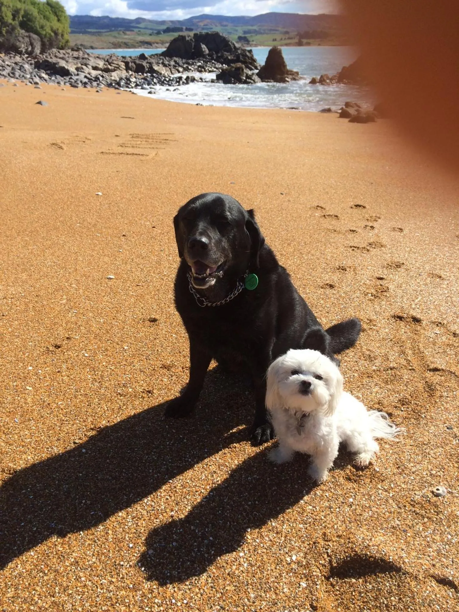 Noah's Boutique Accommodation Moeraki