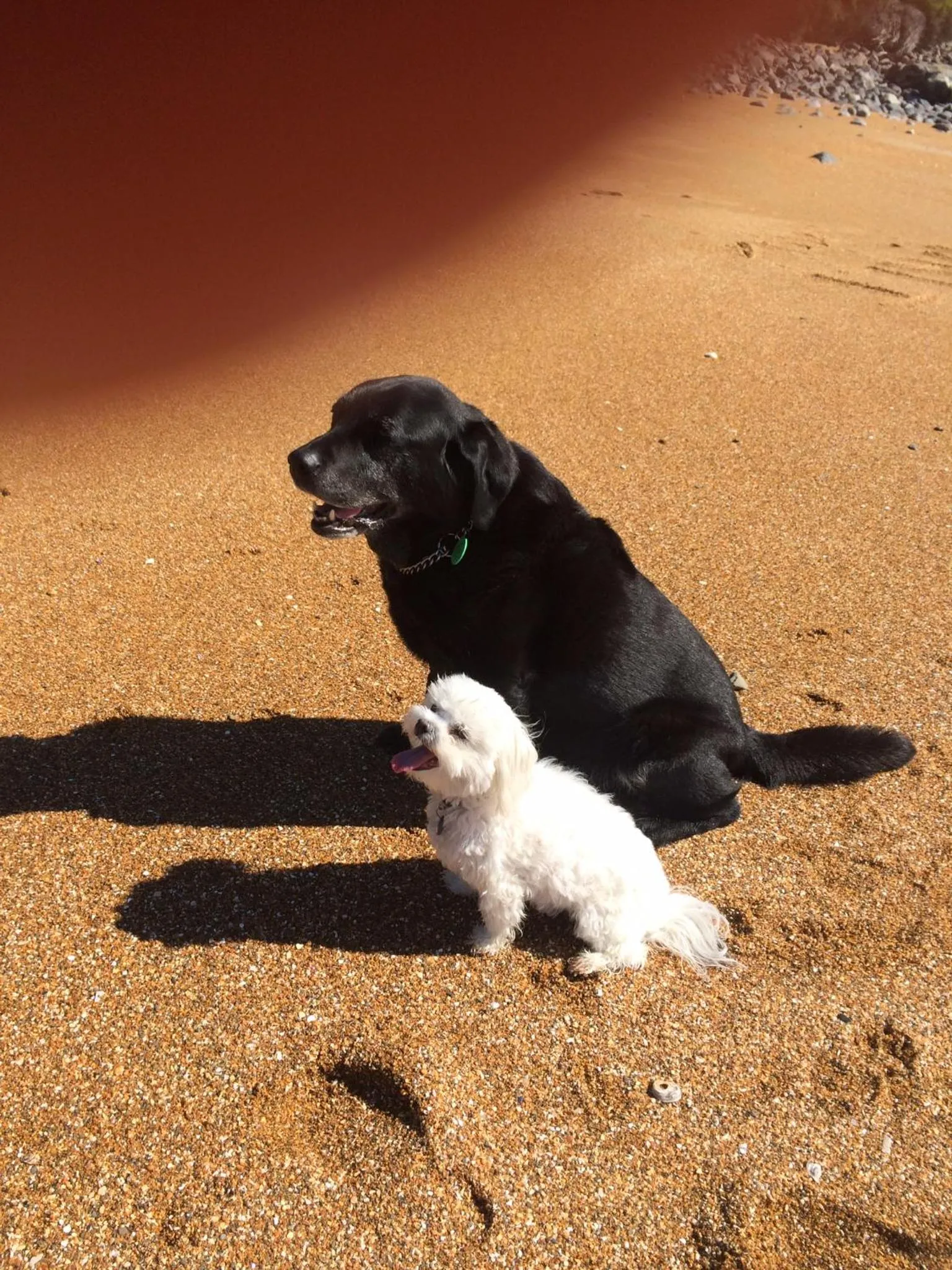Beach in Noah's Boutique Accommodation Moeraki