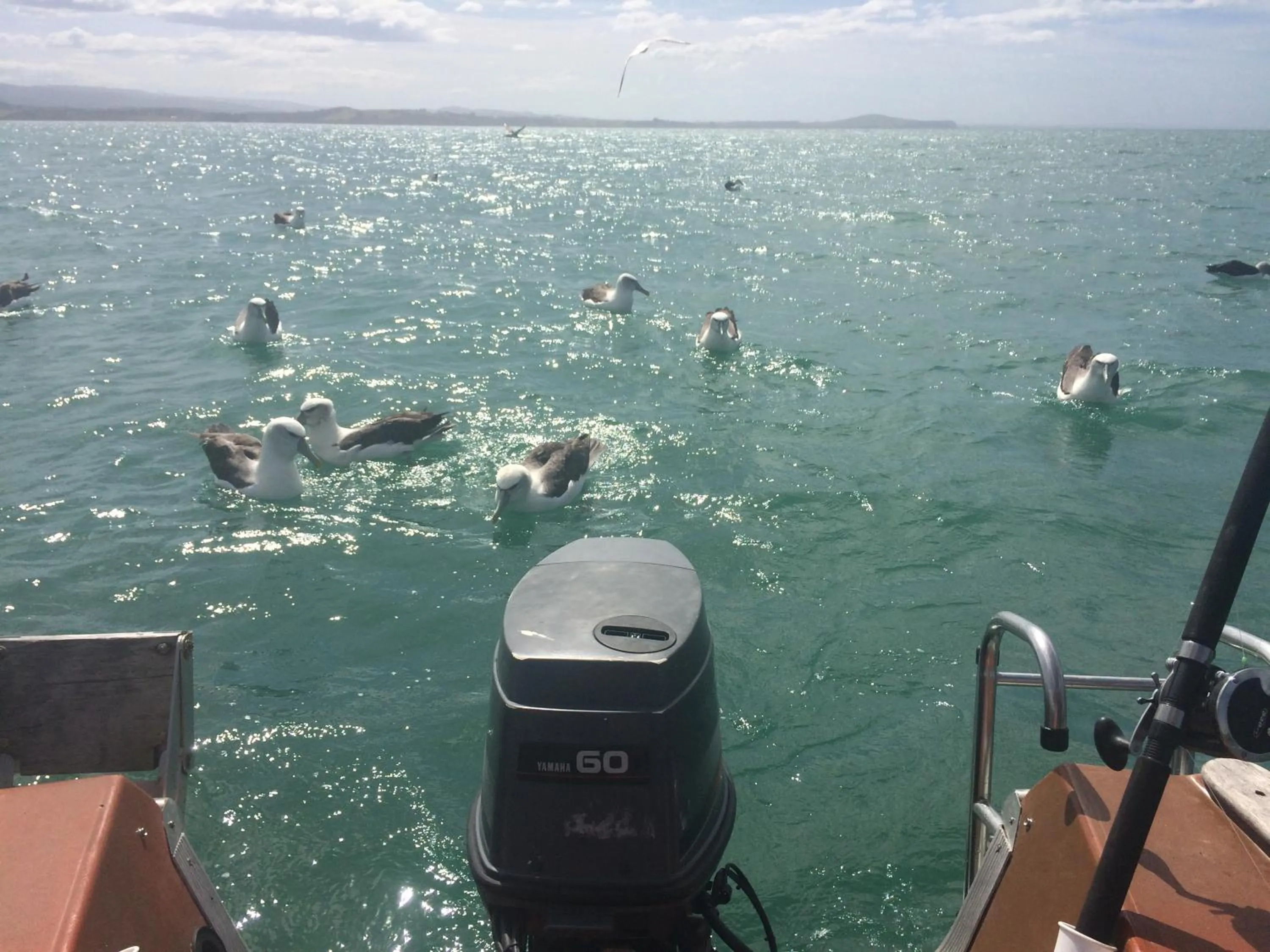 Noah's Boutique Accommodation Moeraki