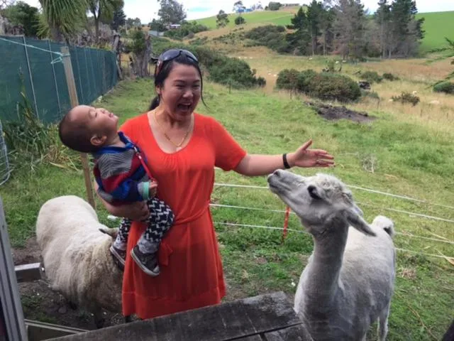 Pets in Noah's Boutique Accommodation Moeraki