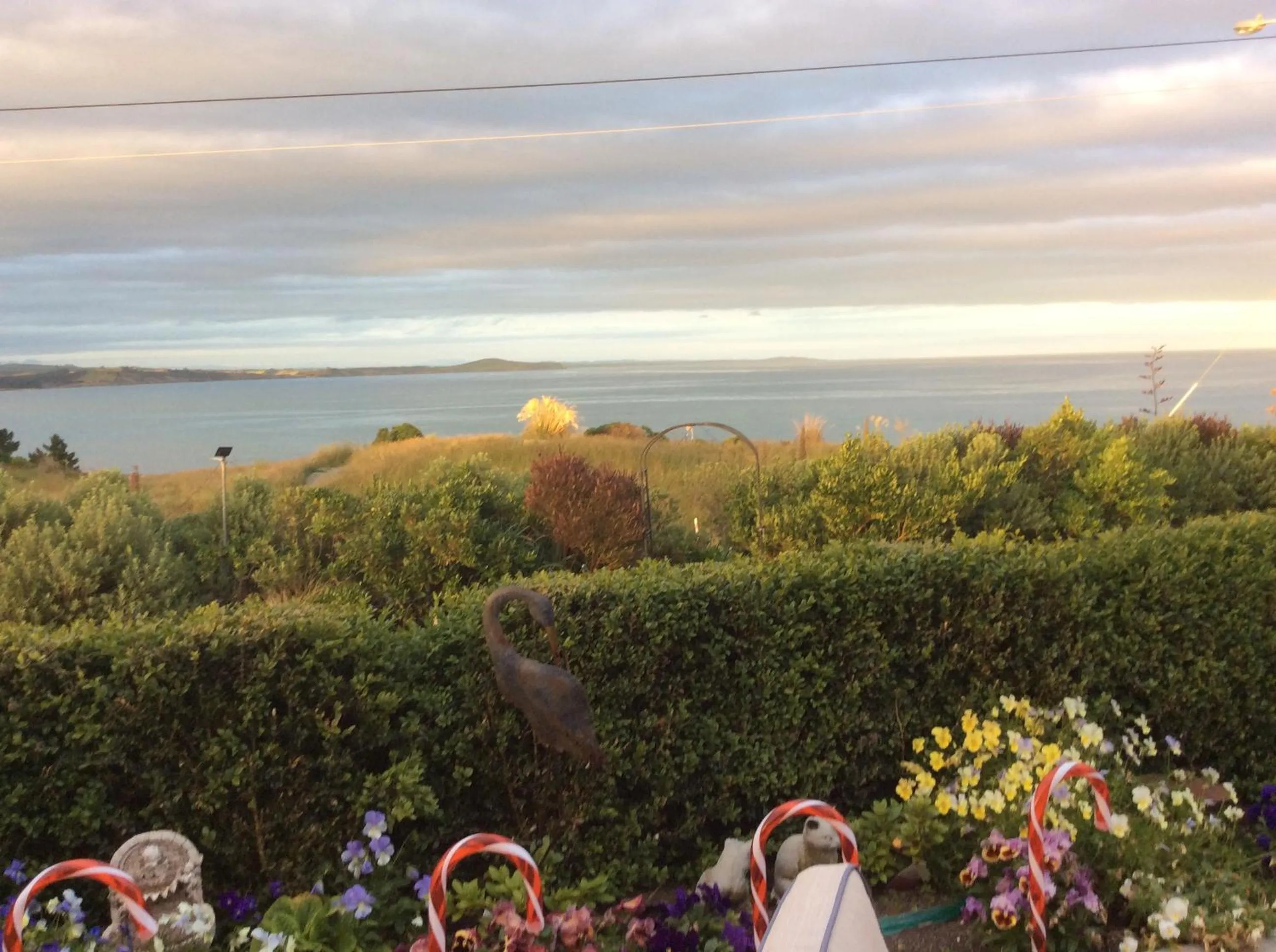 Garden view in Noah's Boutique Accommodation Moeraki