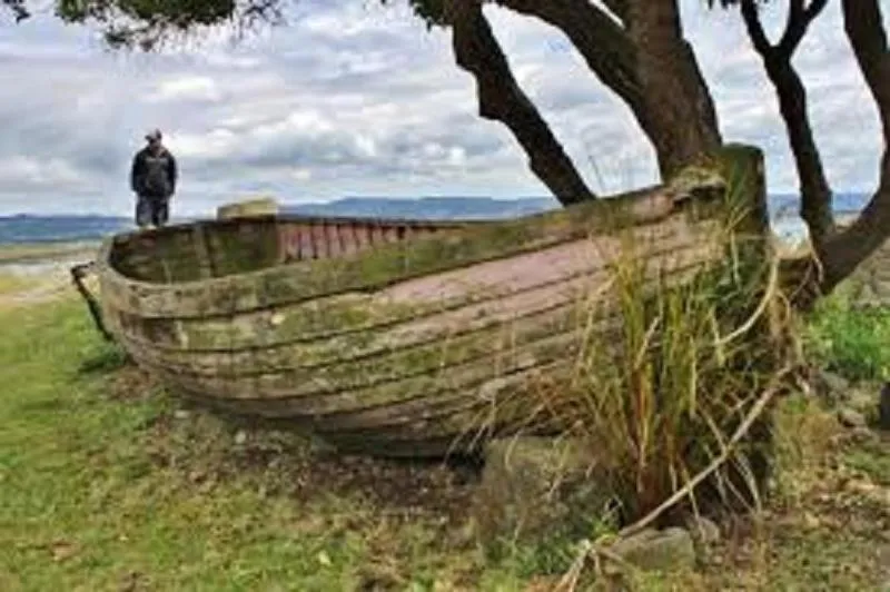 Natural landscape in Noah's Boutique Accommodation Moeraki