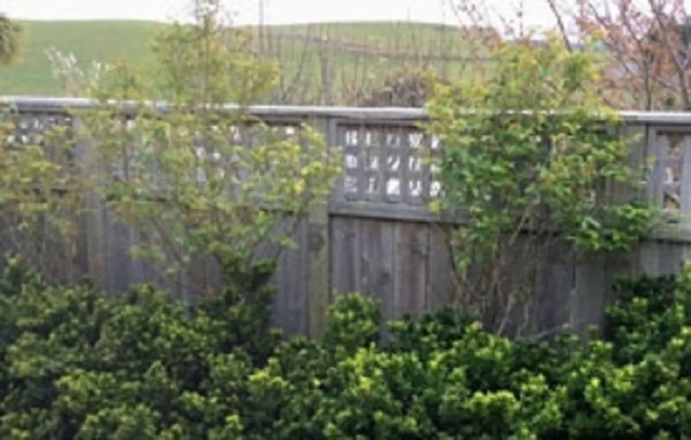 Balcony/Terrace in Noah's Boutique Accommodation Moeraki