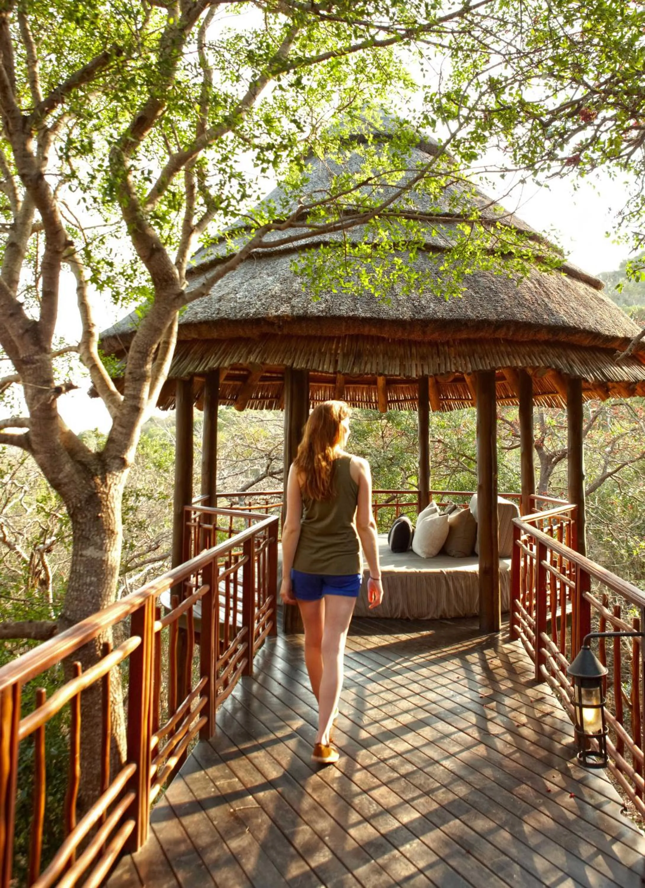 Suite - single occupancy in Thanda Safari