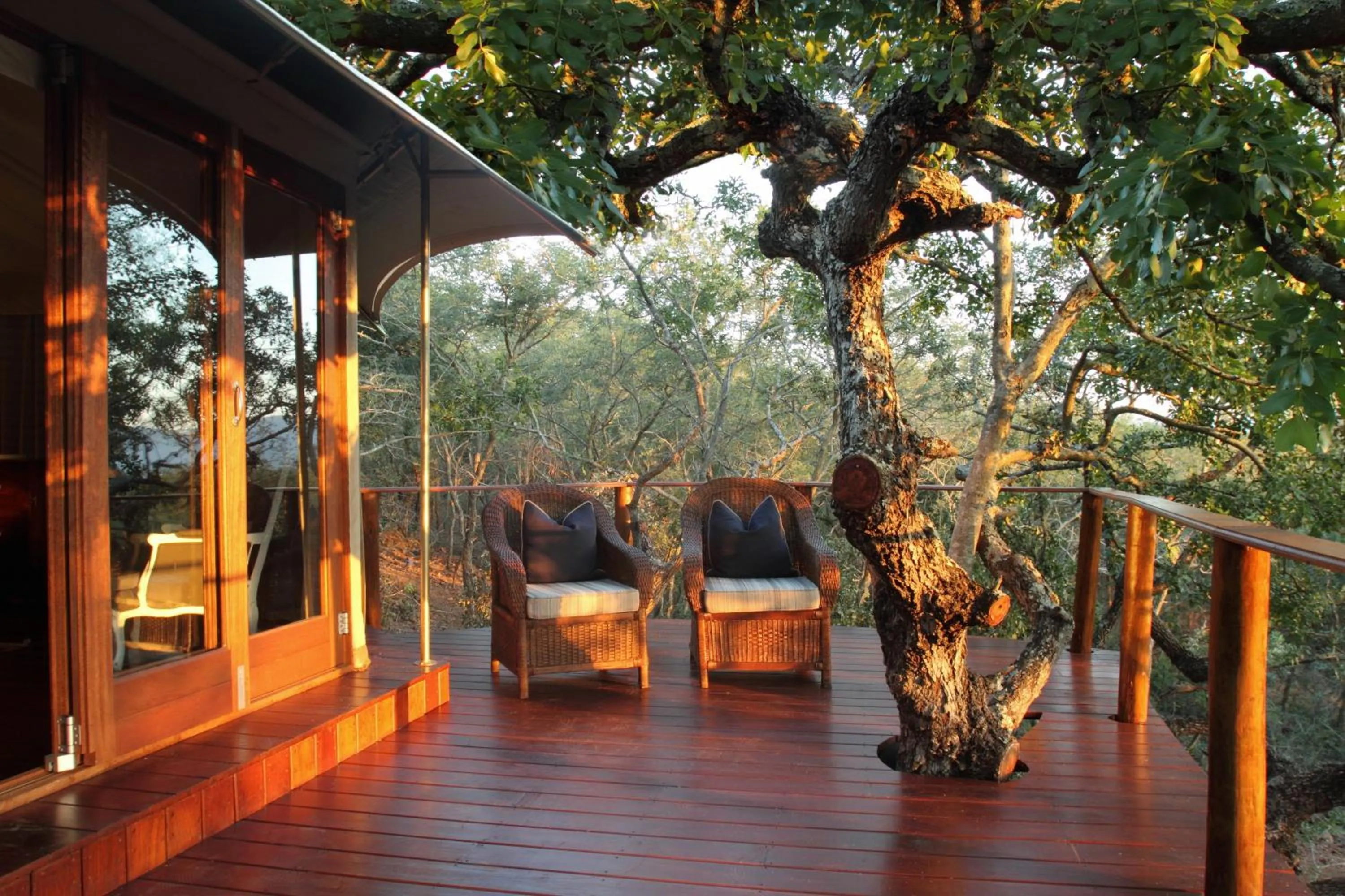 Tent - single occupancy in Thanda Safari