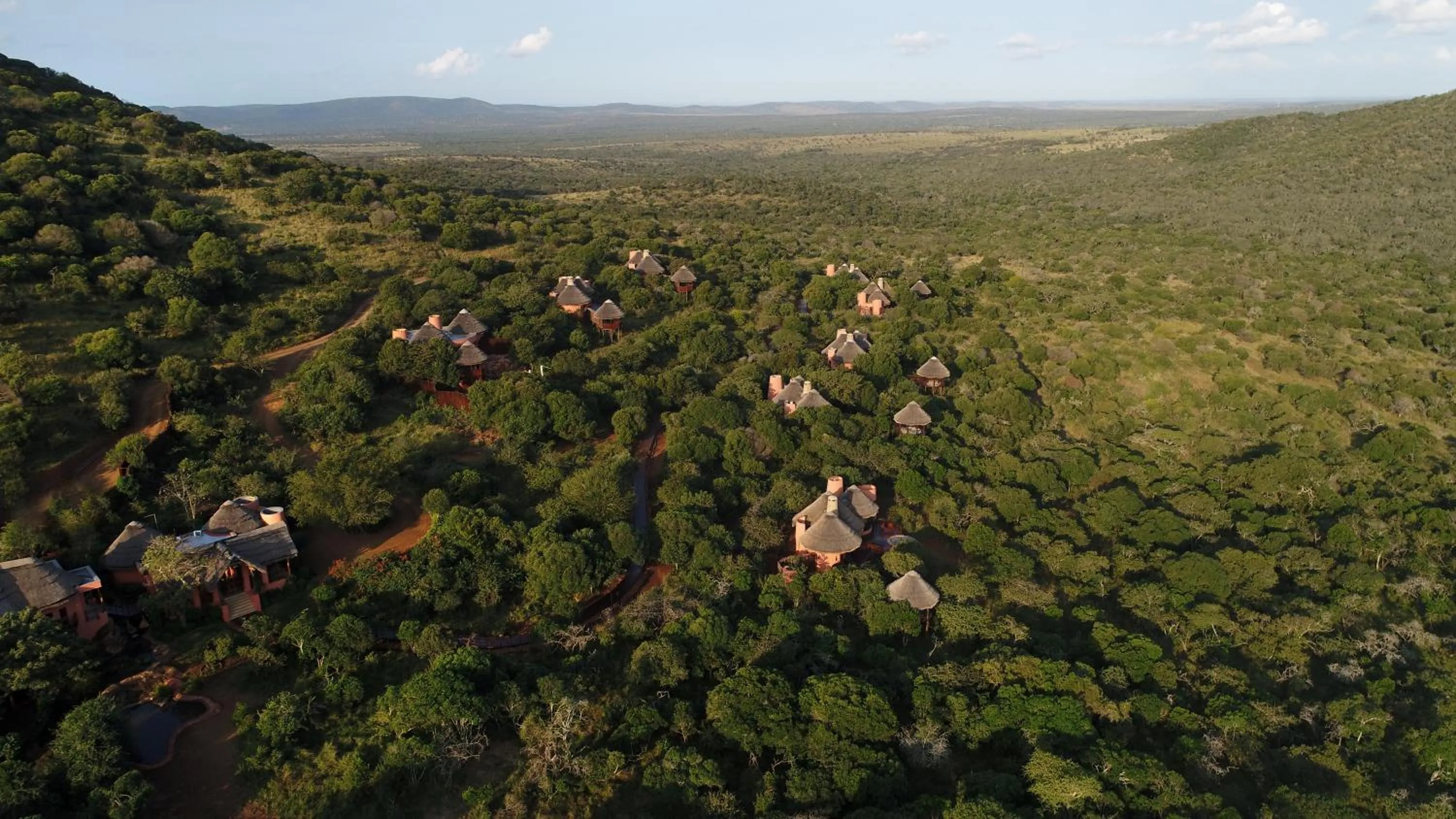 Lodge Suite - single occupancy in Thanda Safari