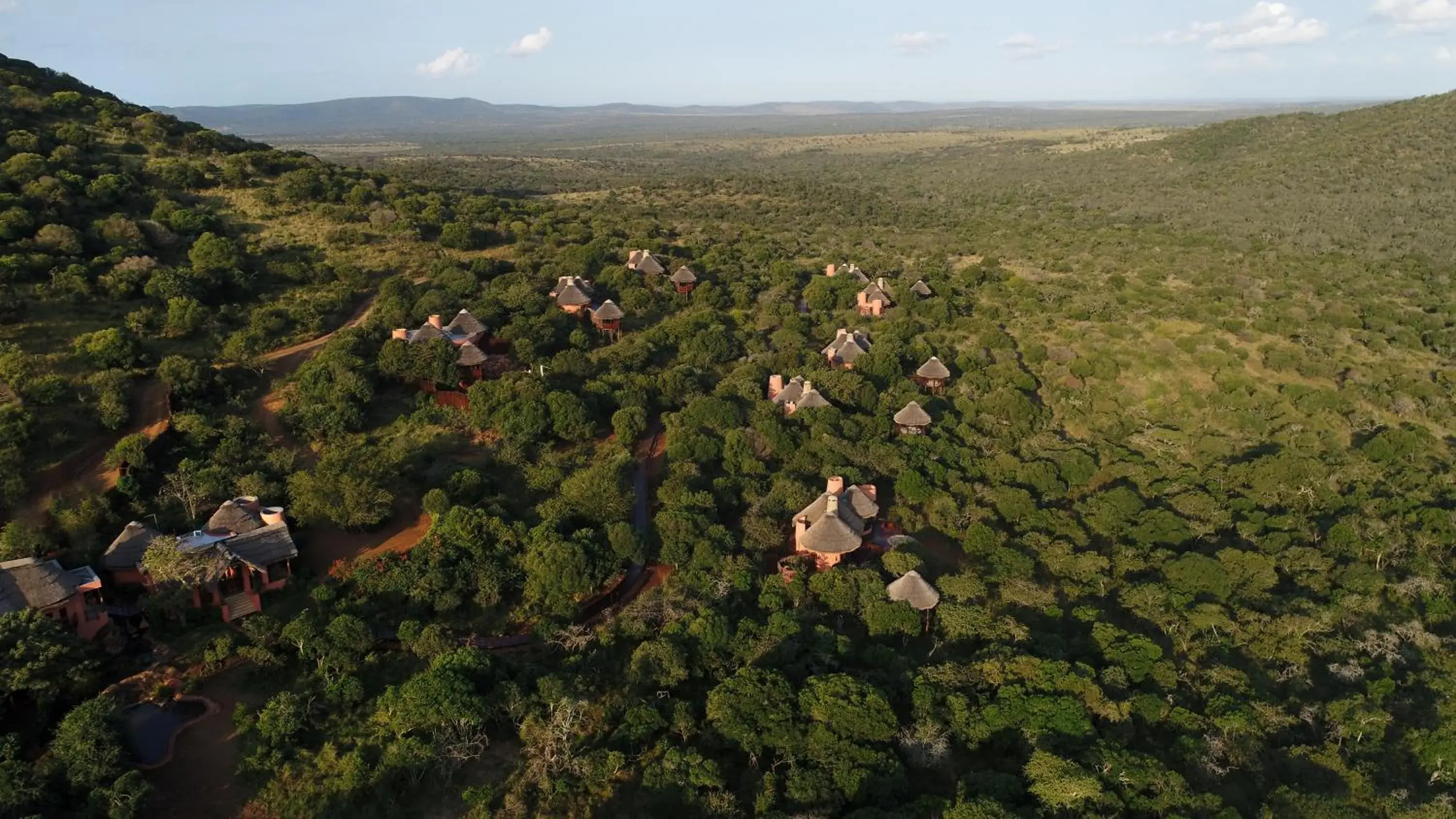 Lodge Suite - single occupancy in Thanda Safari Lodge Suite - single occupancy in Thanda Safari