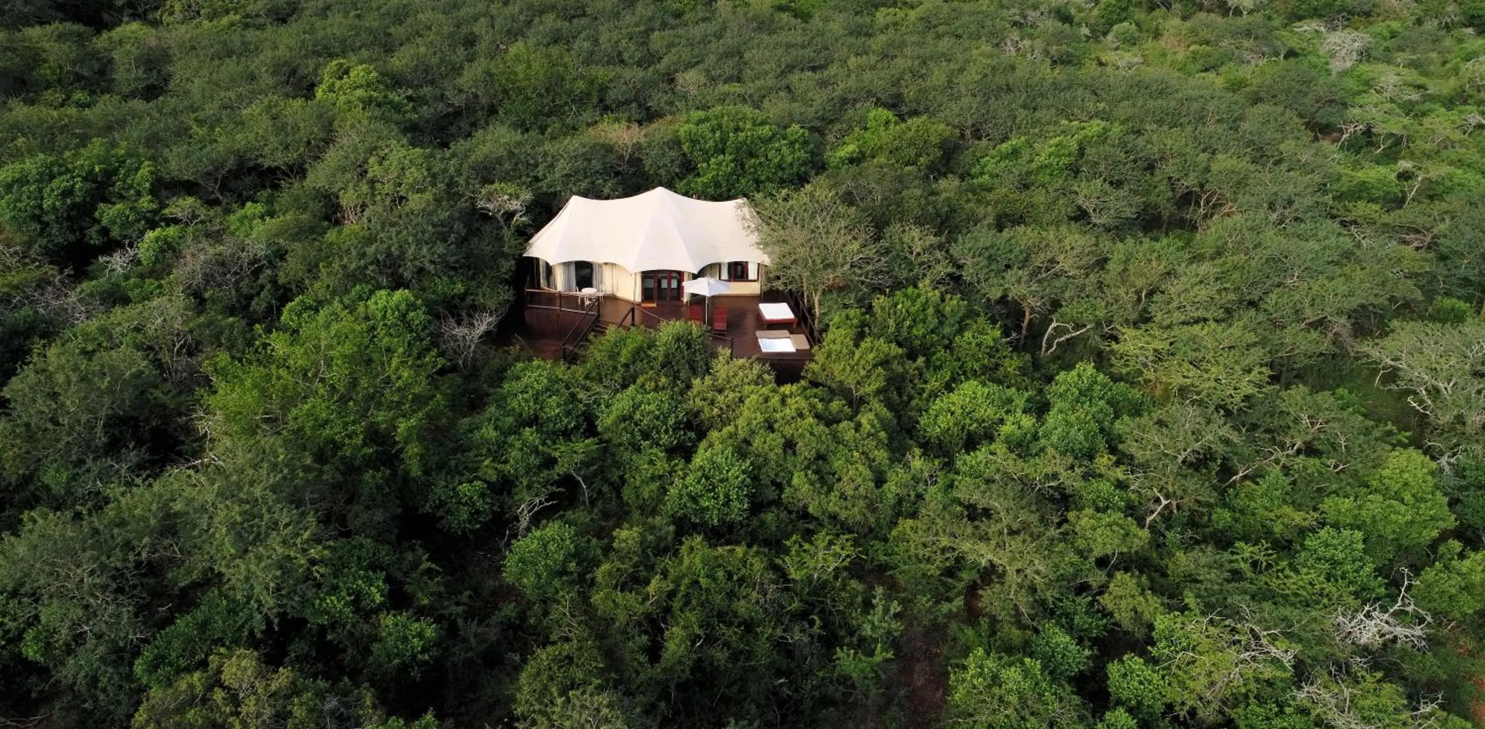 Tent with Plunge Pool - single occupancy in Thanda Safari