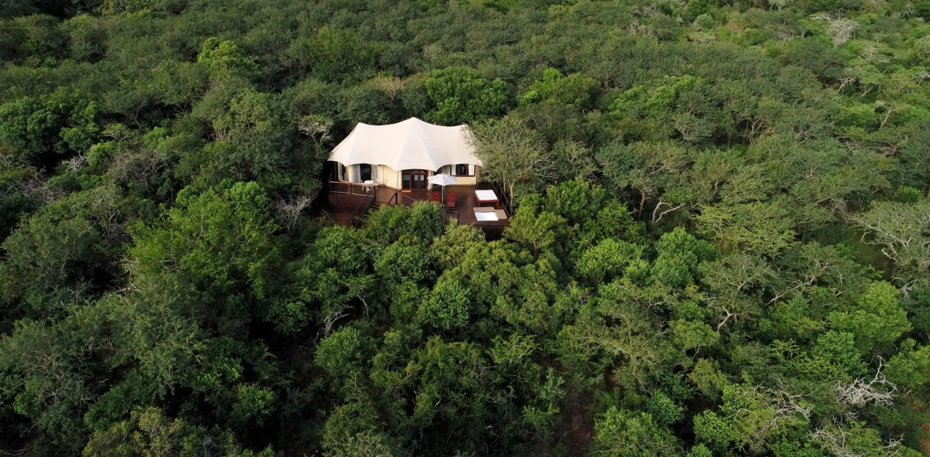 Tent with Plunge Pool - single occupancy in Thanda Safari Tent with Plunge Pool - single occupancy in Thanda Safari