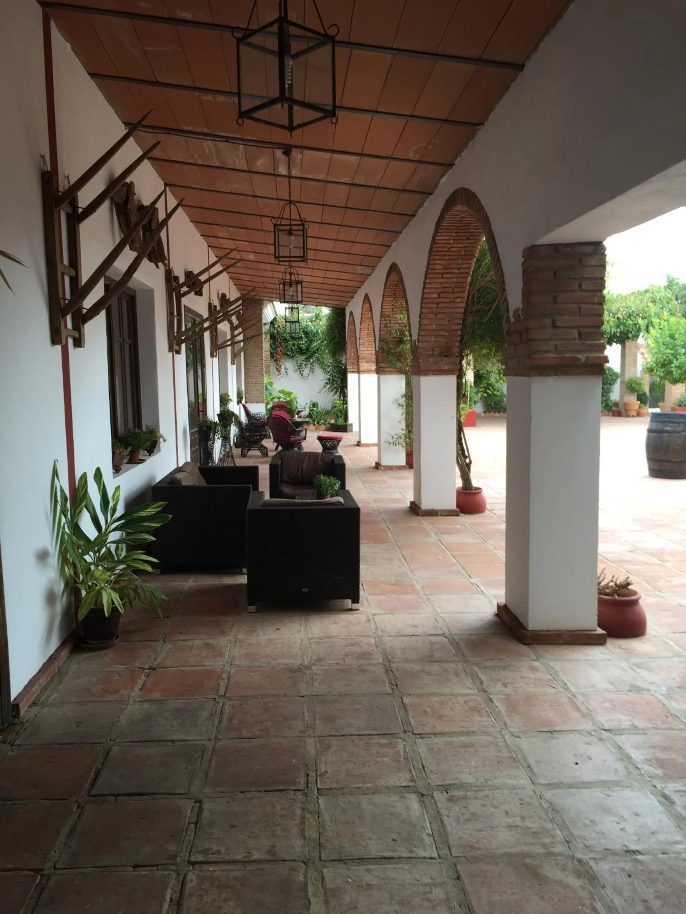 Day in Cortijo Carrillo