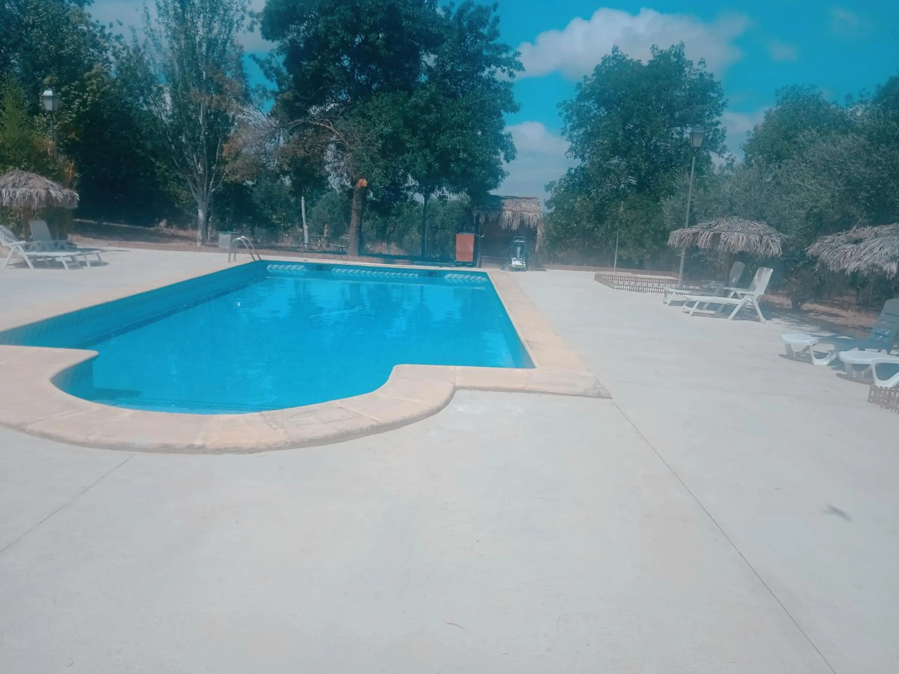 Swimming pool in Cortijo Carrillo