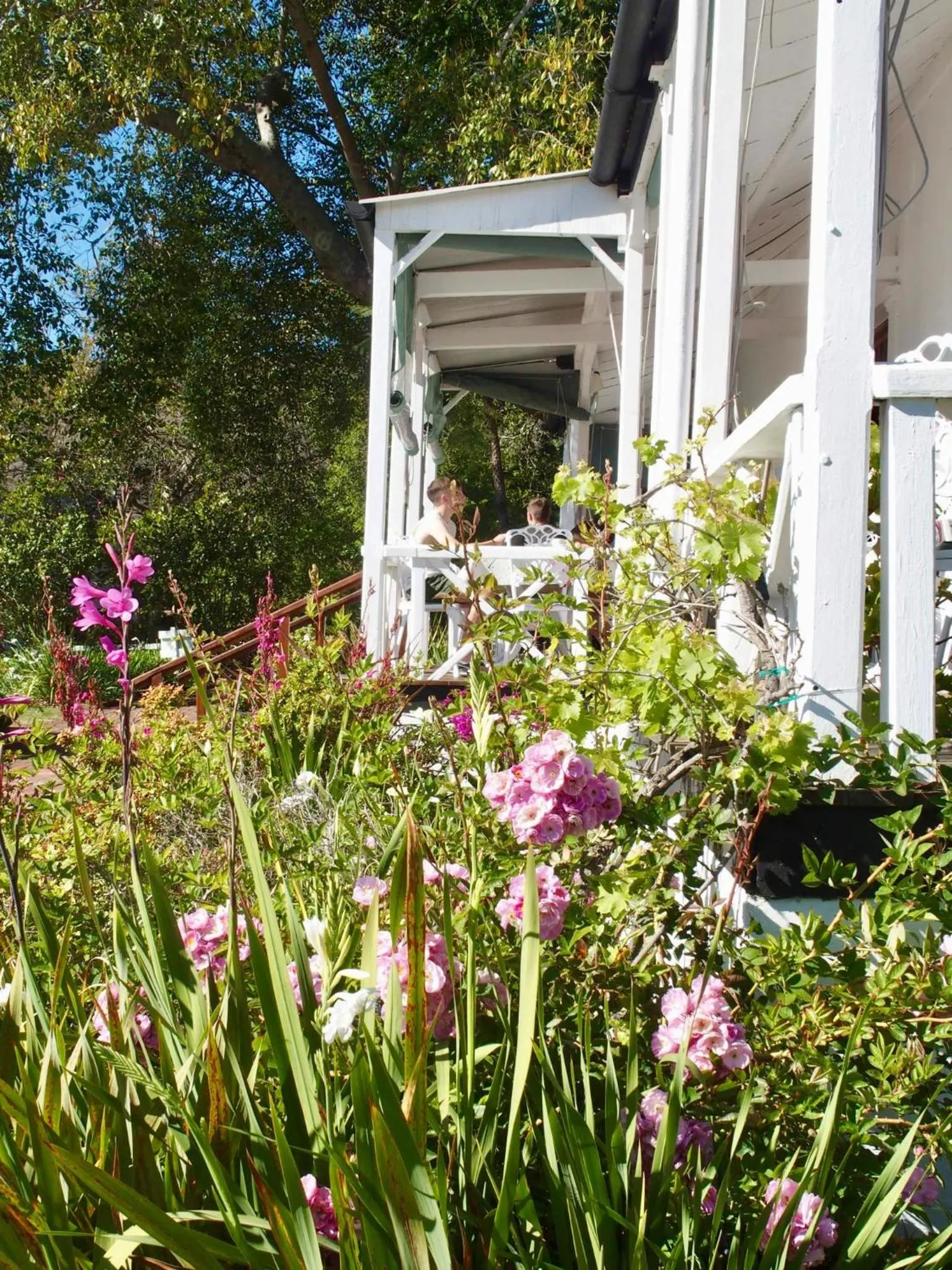 Garden in Belvidere Manor Lagoonside Cottages