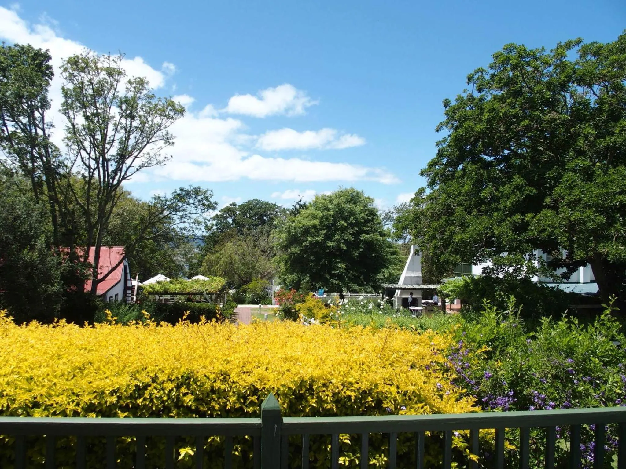 Day in Belvidere Manor Lagoonside Cottages