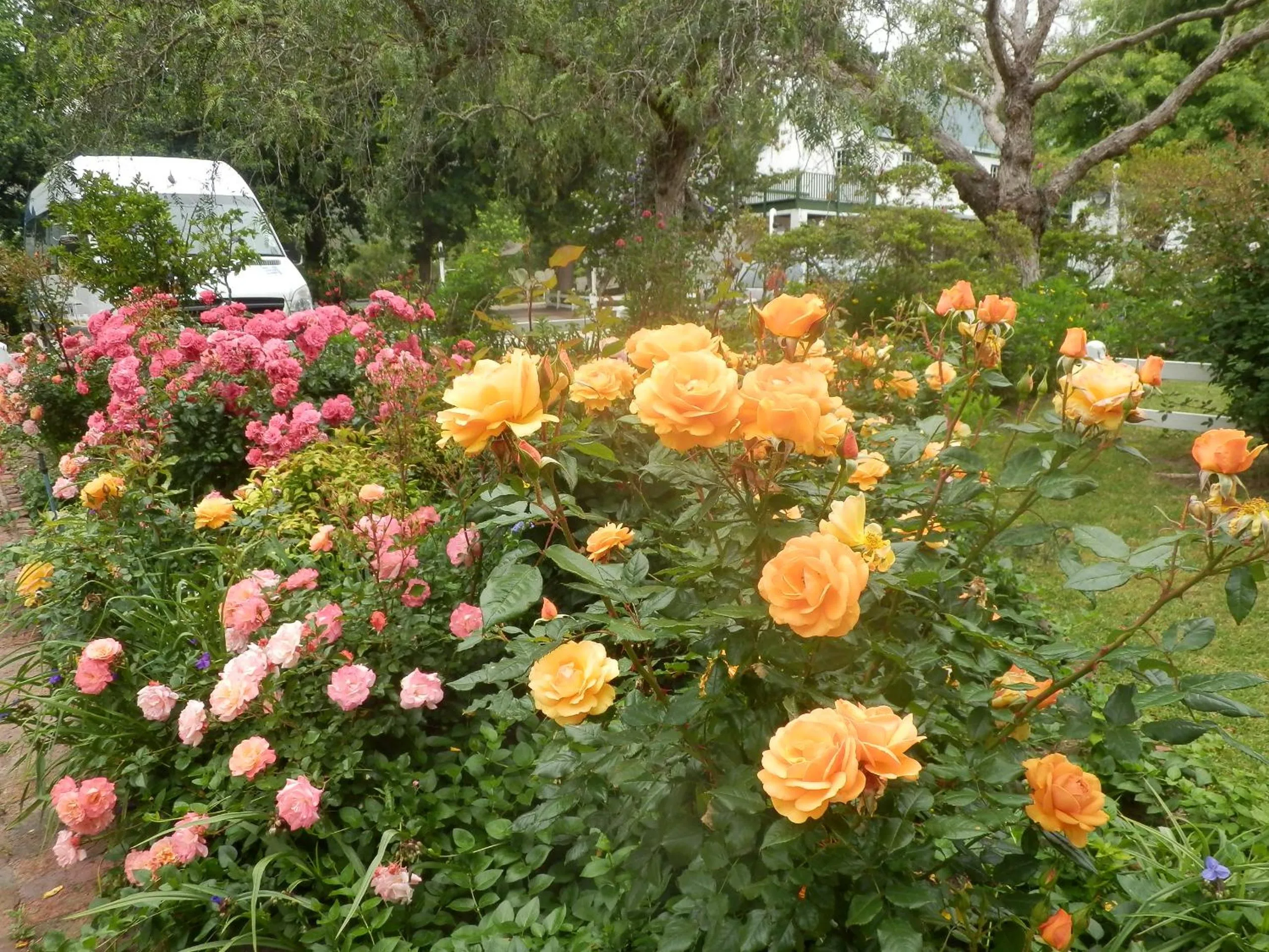 Day in Belvidere Manor Lagoonside Cottages