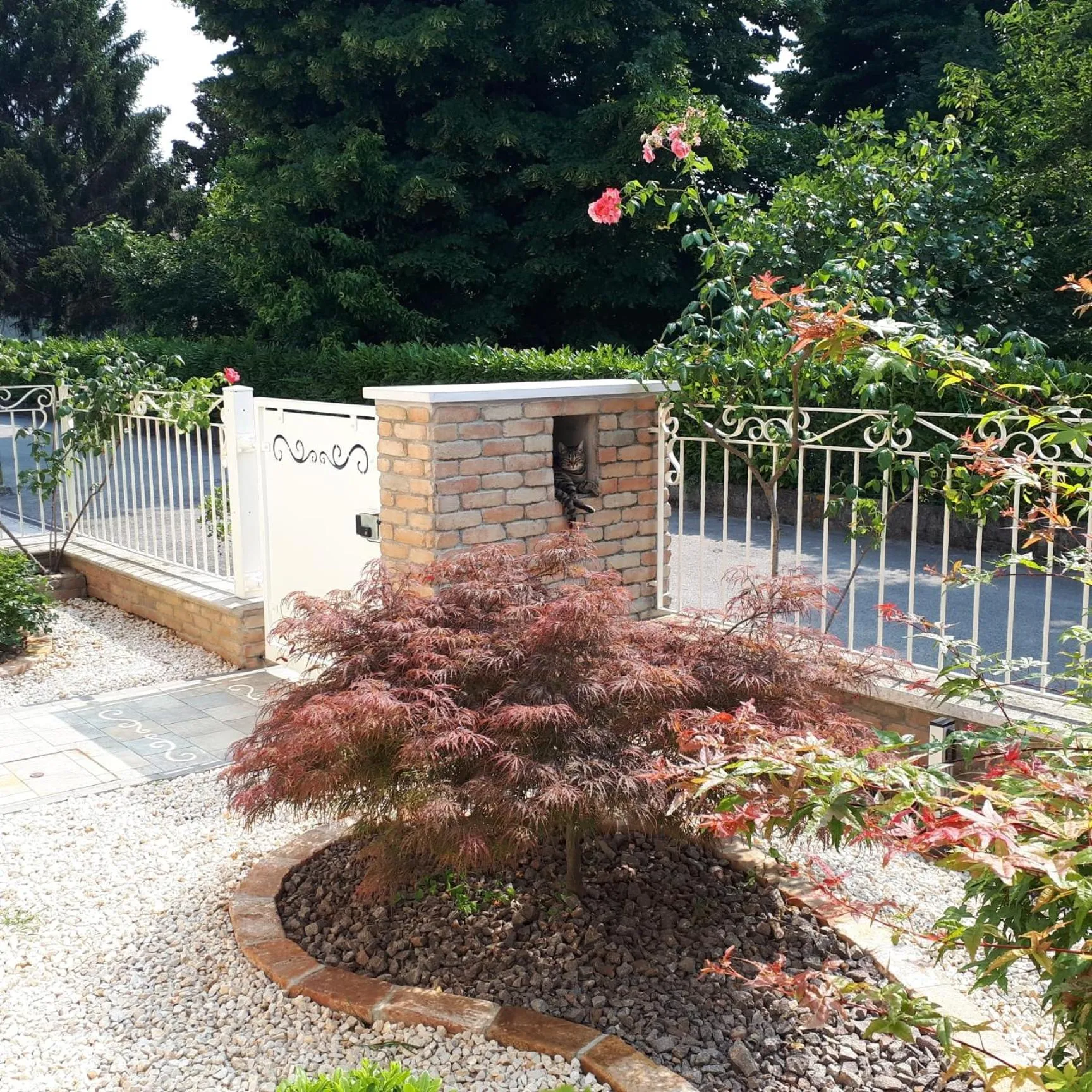 Garden view in B&B Al sogno di Laura