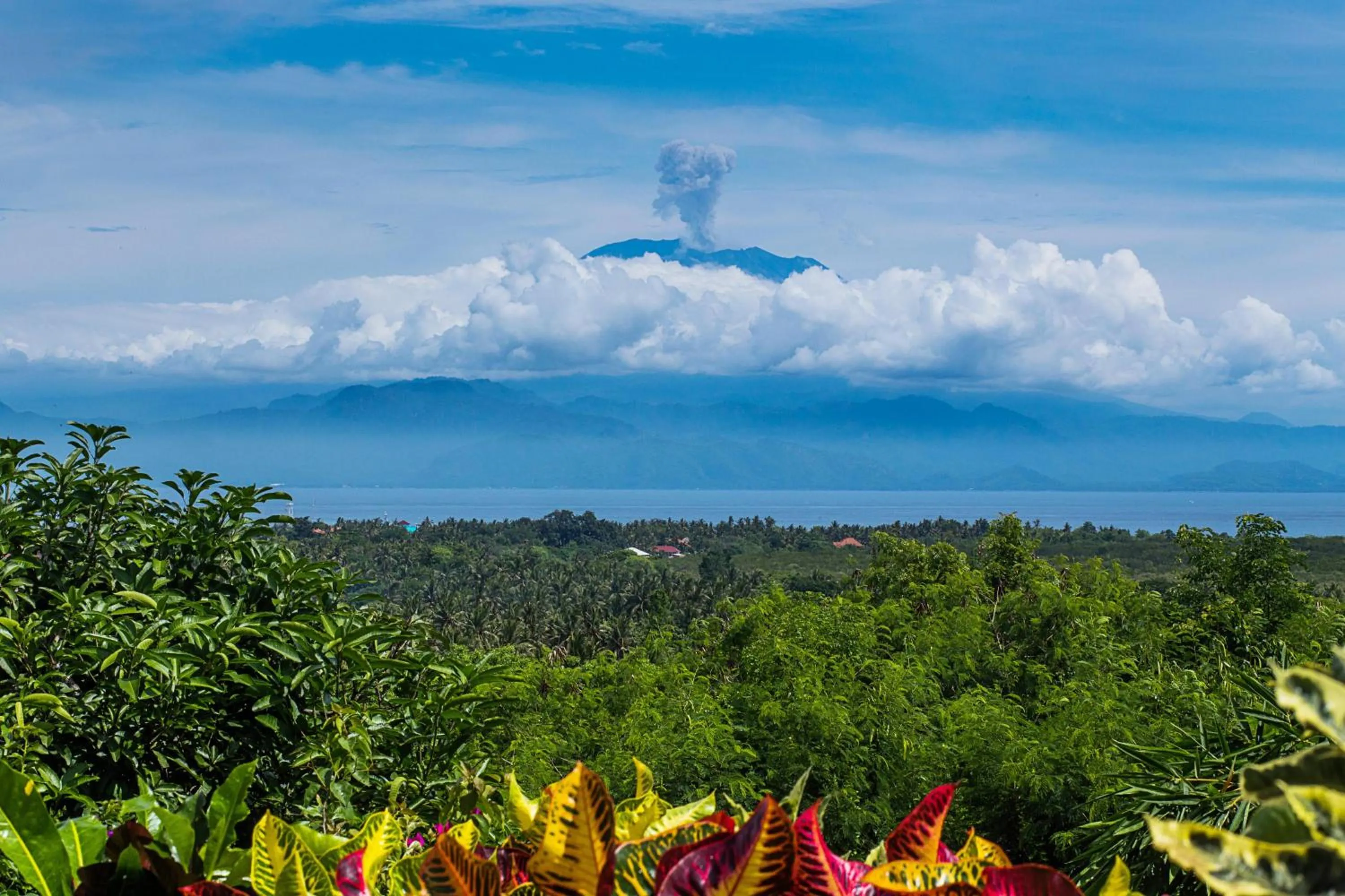 Natural landscape in Bukit Taman Cottages