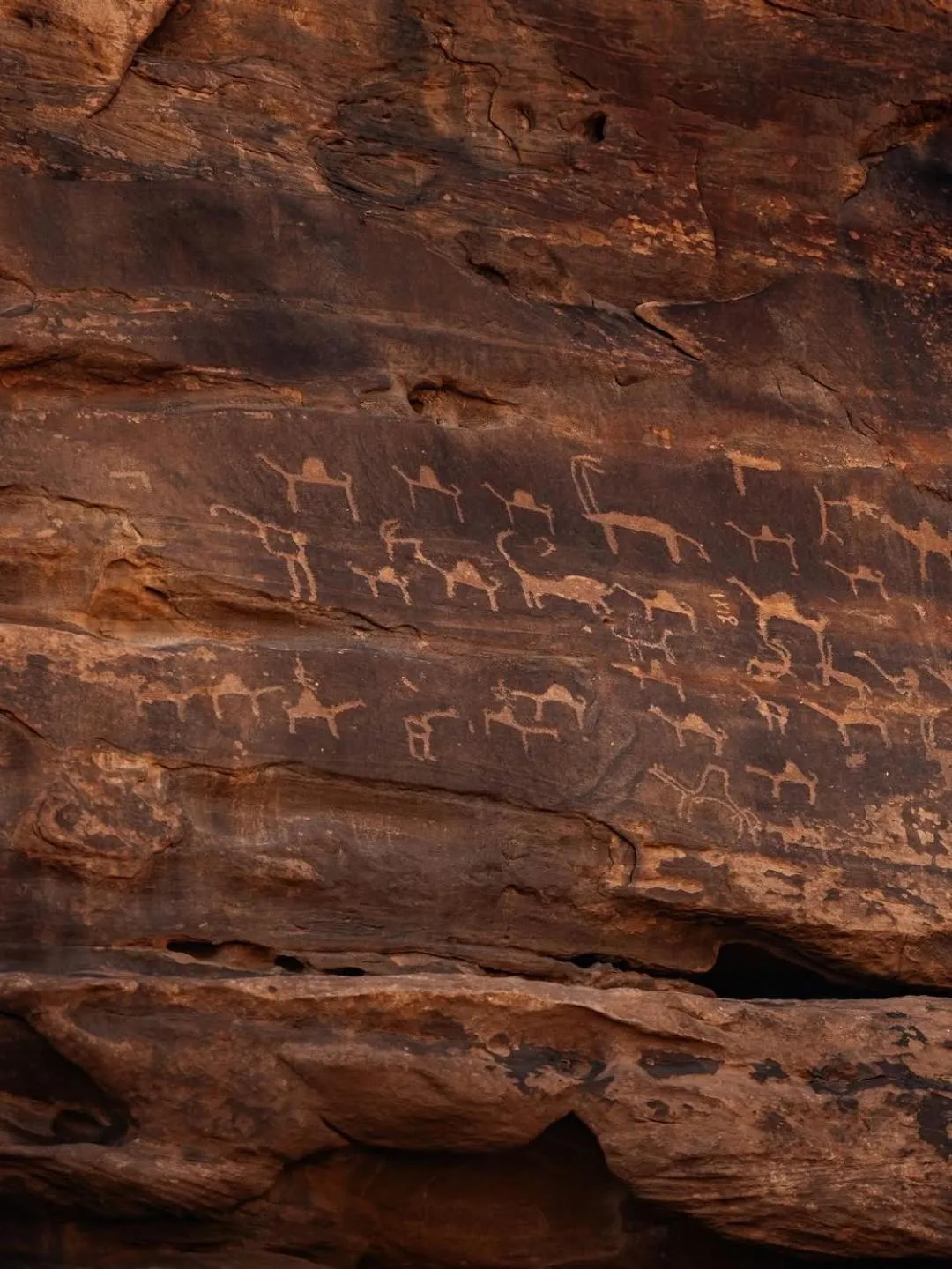 Wadi Rum Moon Light